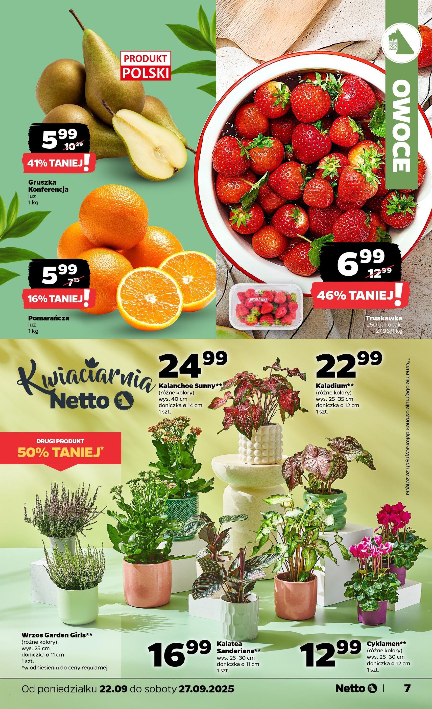 Netto gazetka - Spożywcza - ważny gazetka od 22.09.2025 strona 7 z 37