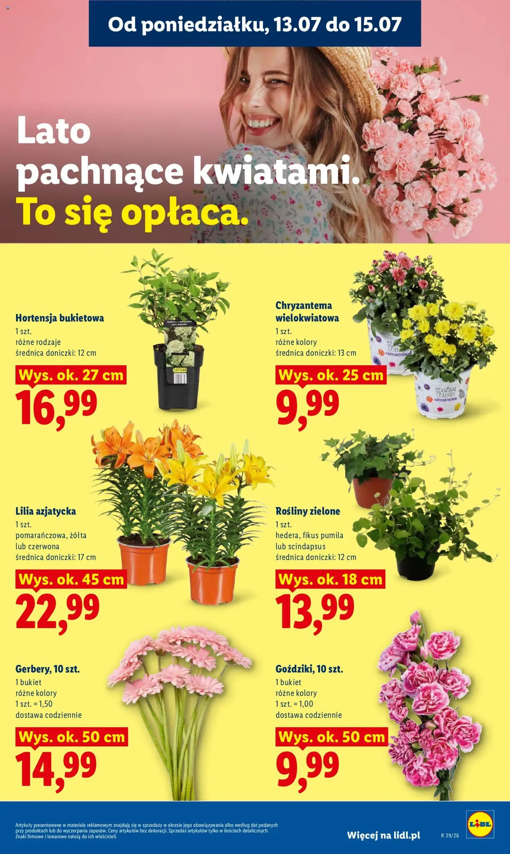Lidl gazetka - ważny gazetka od 13.07.2026 strona 87 z 94
