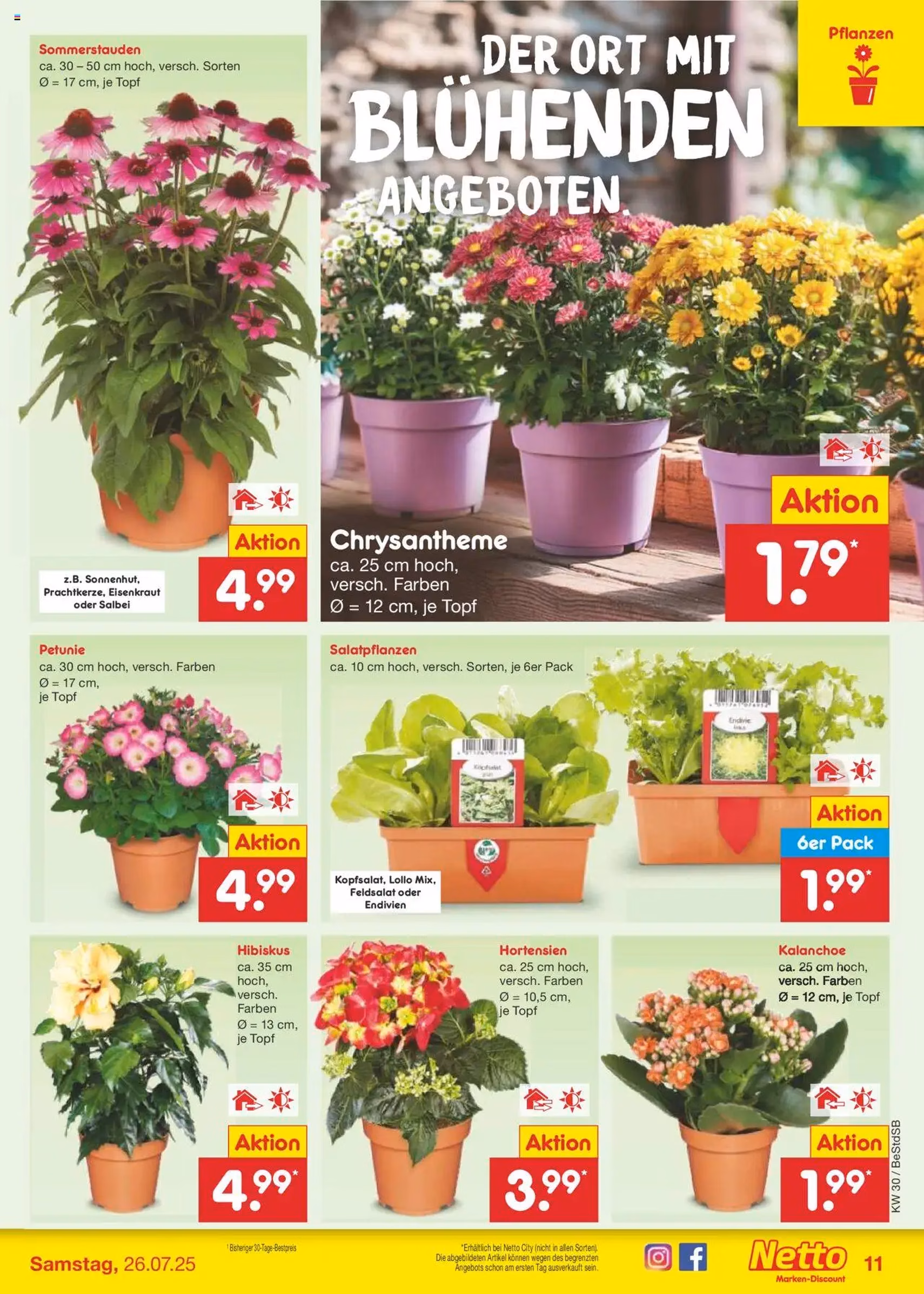 Netto Marken-Discount Prospekt - Gültiger Prospekt ab 21.07.2025, Seite 13 von insgesamt 65