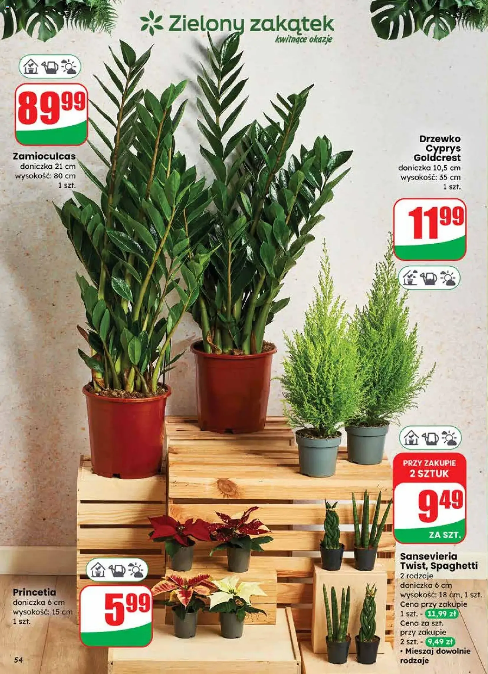 Dino Gazetka - ważny gazetka od 19.11.2025 strona 54 z 75