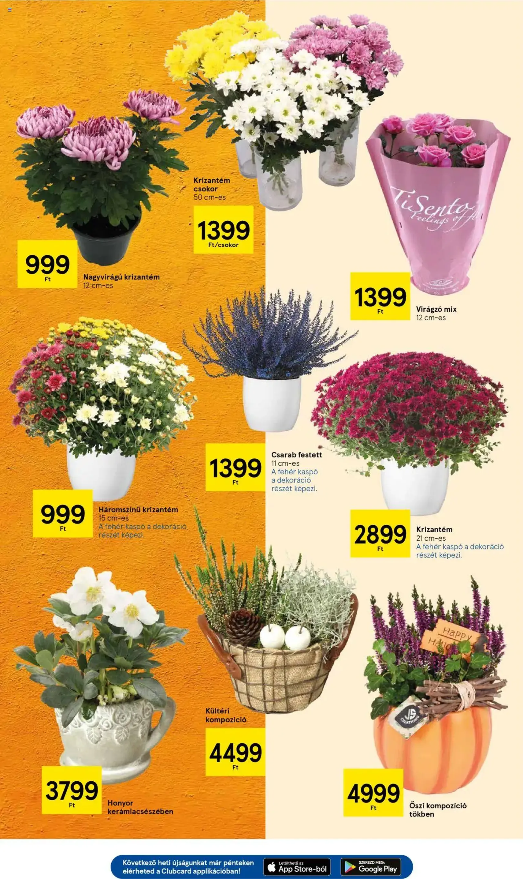 Tesco Hipermarket - Akciós újság - 2025.10.16. érvényes szórólap 19 oldal 34 oldalból Tesco Hipermarket - Akciós újság - 2025.10.16. érvényes szórólap 19 oldal 34 oldalból