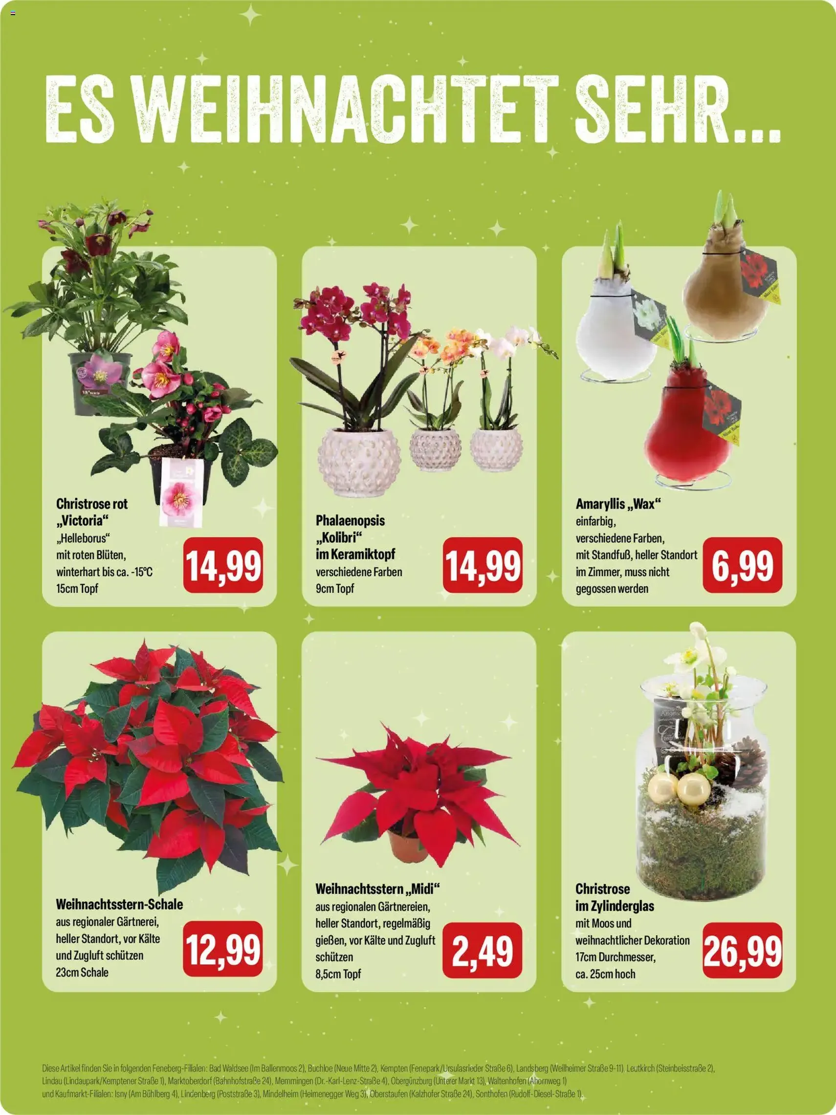 Feneberg Angebote - Gültiger Prospekt ab 27.11.2025, Seite 14 von insgesamt 24
