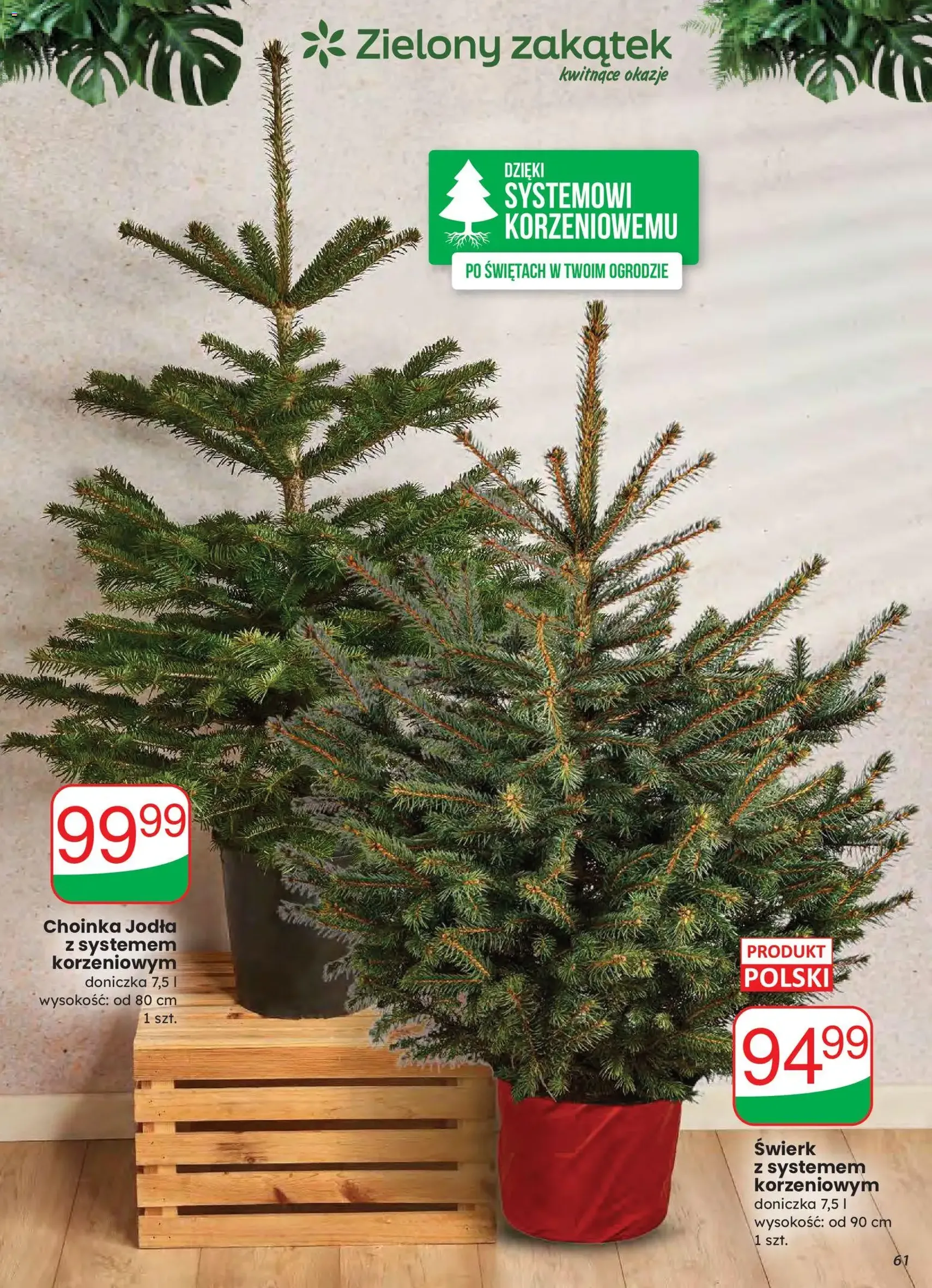 Dino Gazetka - ważny gazetka od 03.12.2025 strona 61 z 82