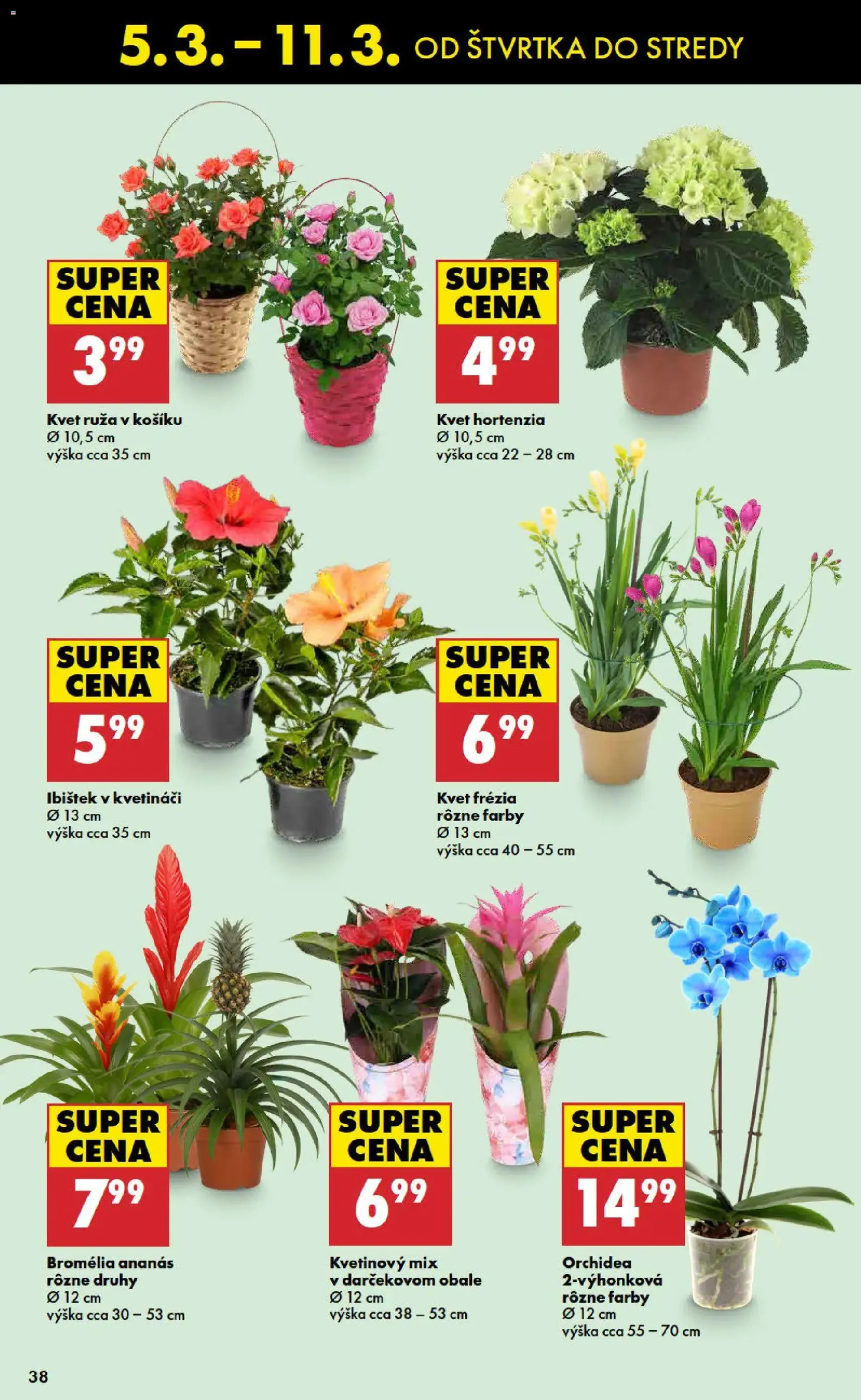 Biedronka leták - platný leták od 05.03.2026 strana 38 z 48