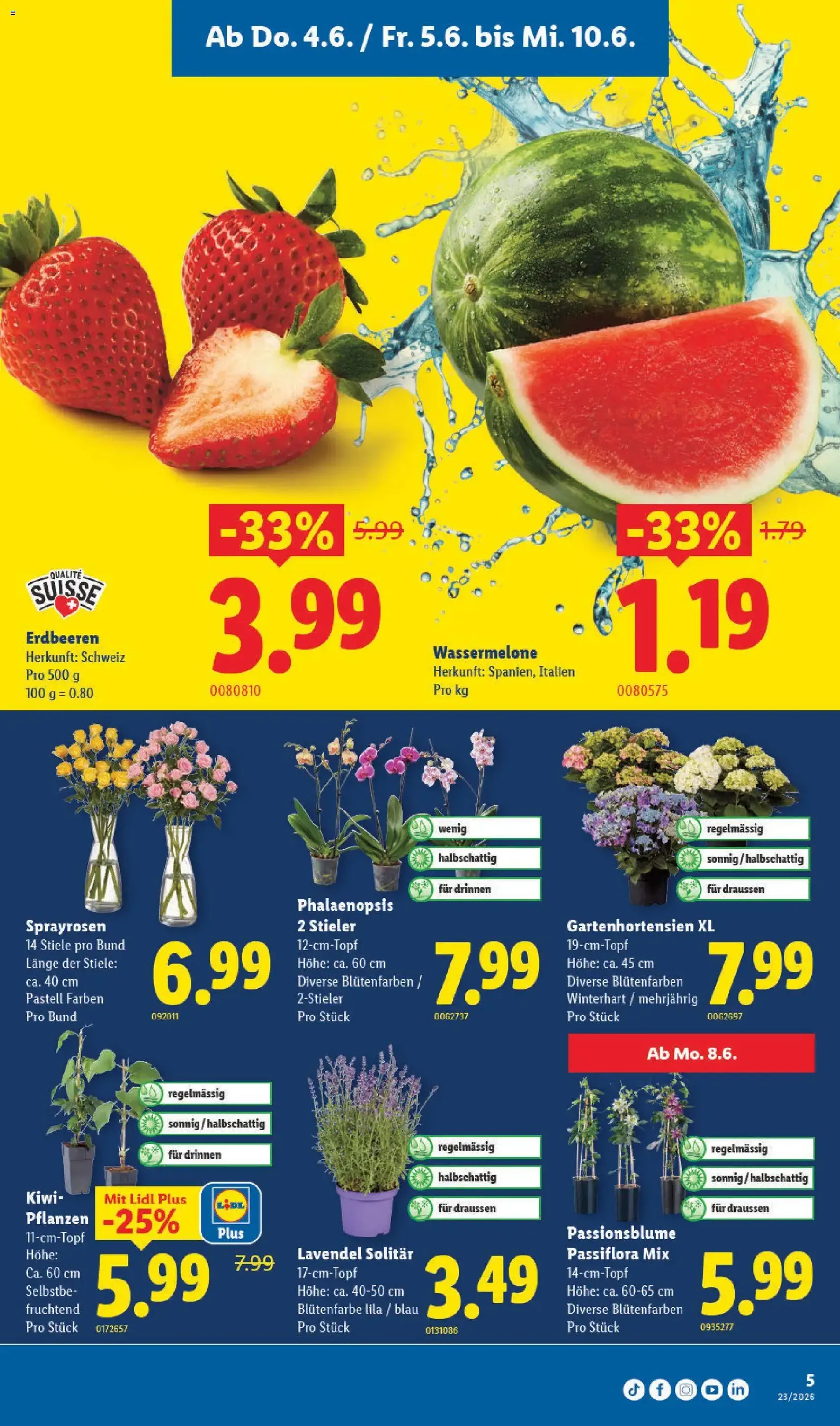 Lidl aktionen - Gültiger Prospekt ab 04.06.2026, Seite 5 von insgesamt 36