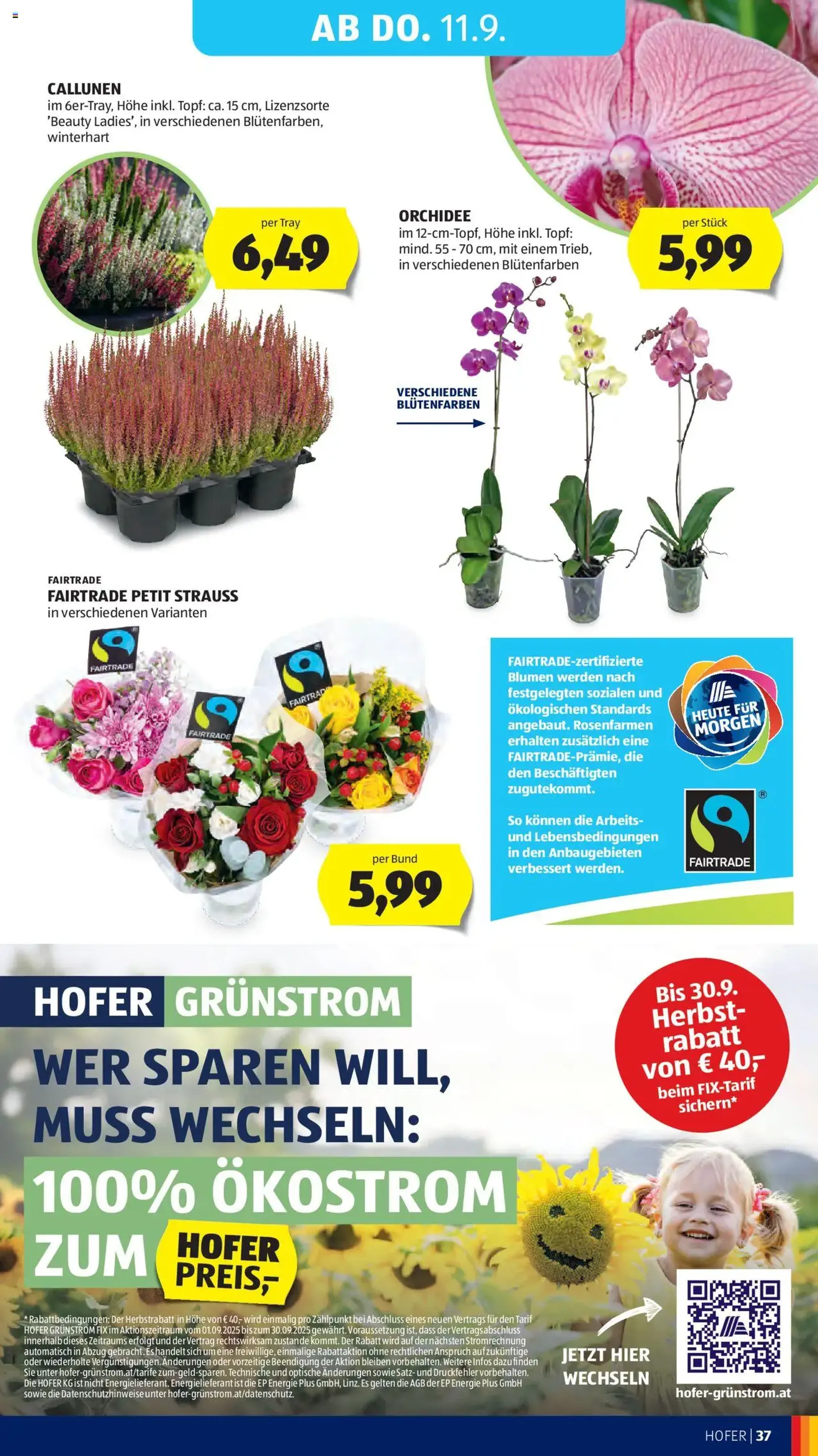 Hofer Flugblatt - Gültiger Prospekt ab 05.09.2025, Seite 41 von insgesamt 45 Hofer Flugblatt - Gültiger Prospekt ab 05.09.2025, Seite 41 von insgesamt 45