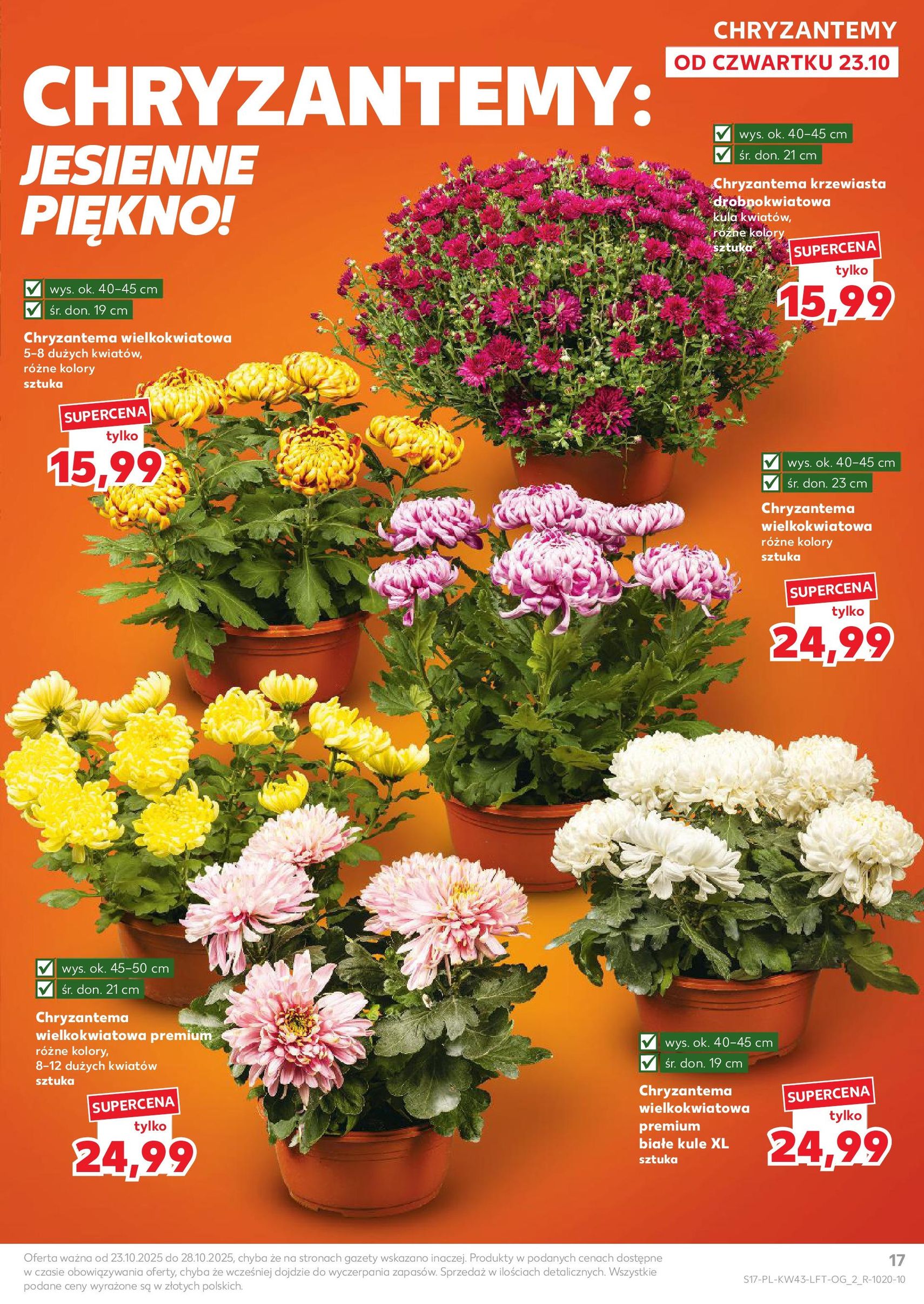Kaufland gazetka - ważny gazetka od 23.10.2025 strona 17 z 67 Kaufland gazetka - ważny gazetka od 23.10.2025 strona 17 z 67
