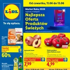 Lidl gazetka - podgląd gazetki ważnej od 11.06.2026