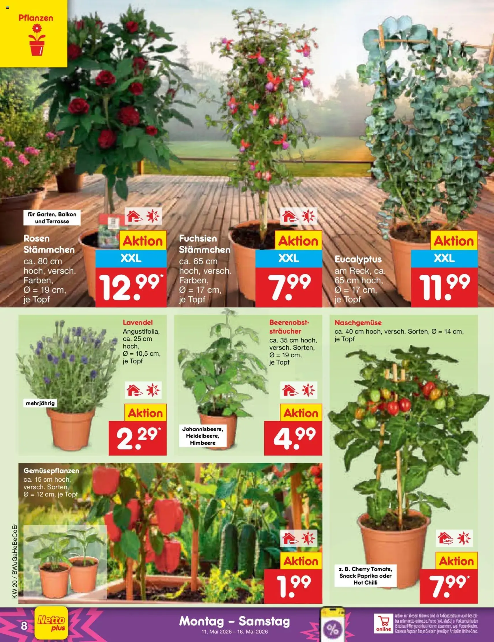 Netto Marken-Discount Prospekt - Gültiger Prospekt ab 11.05.2026, Seite 10 von insgesamt 65