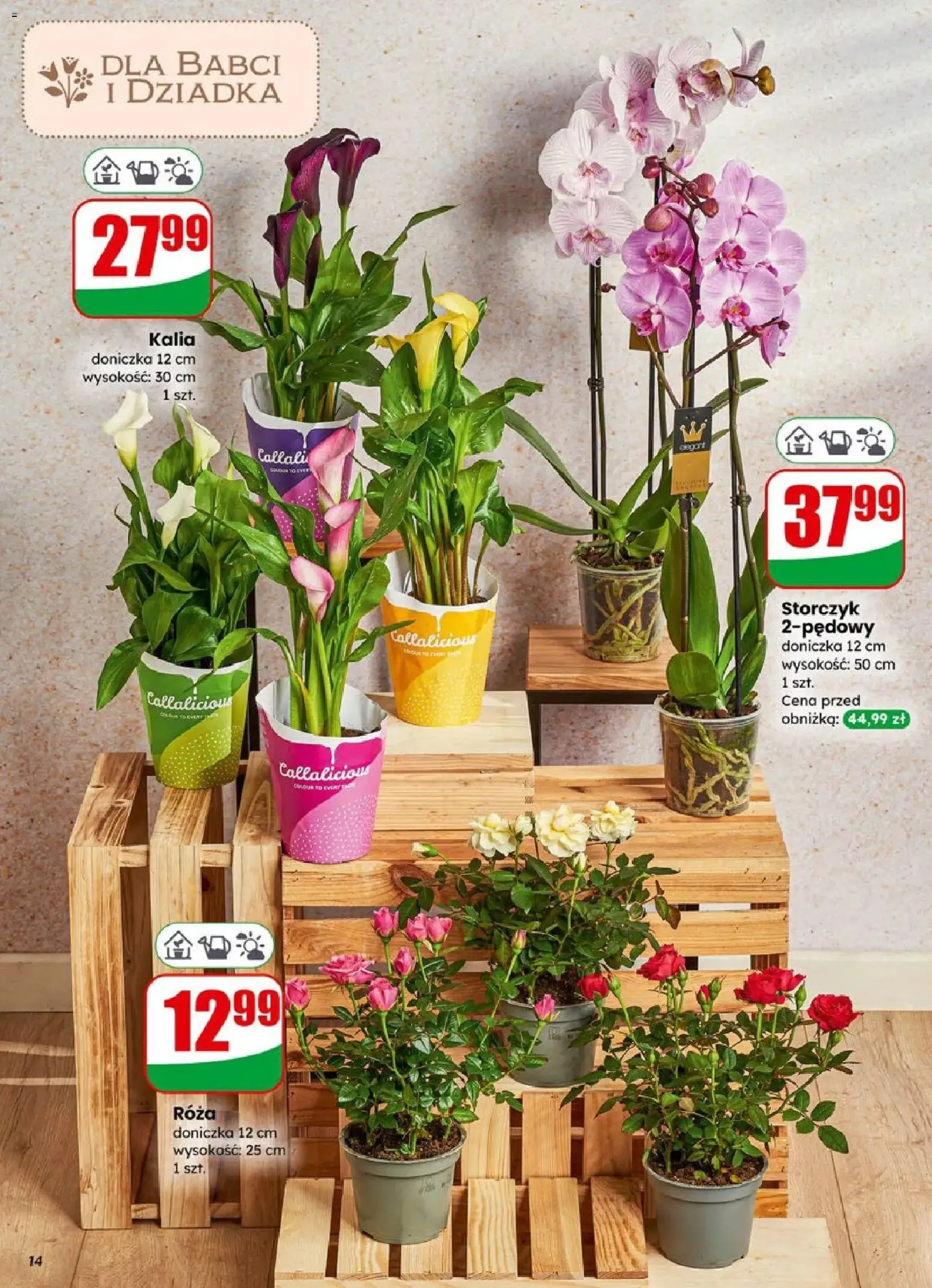 Dino Gazetka - ważny gazetka od 21.01.2026 strona 14 z 66