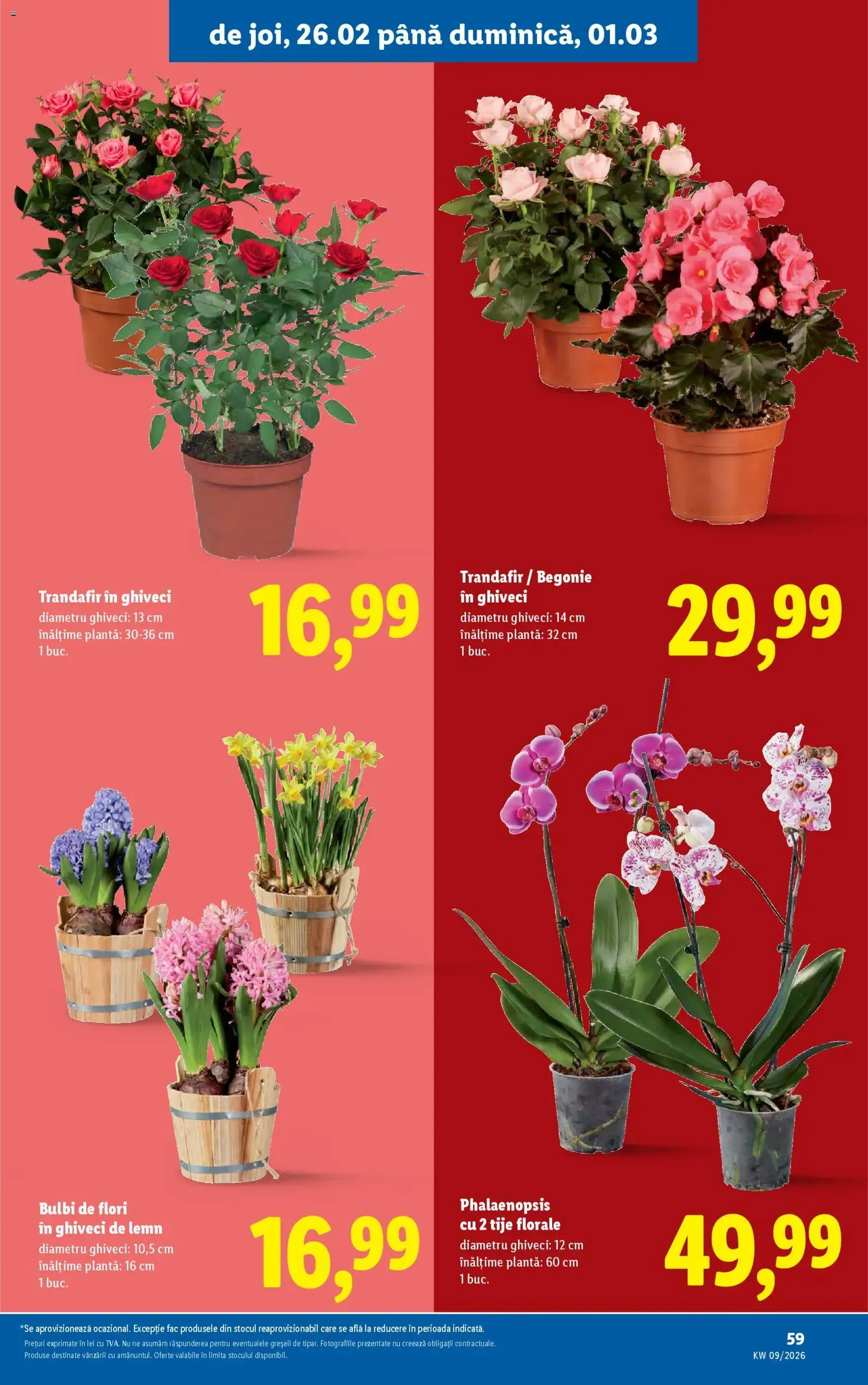 Catalog Lidl - cataloage valabile începând cu 23.02.2026 pagina 59 din 92