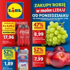 Lidl Gazetka - podgląd gazetki ważnej od 25.08.2025