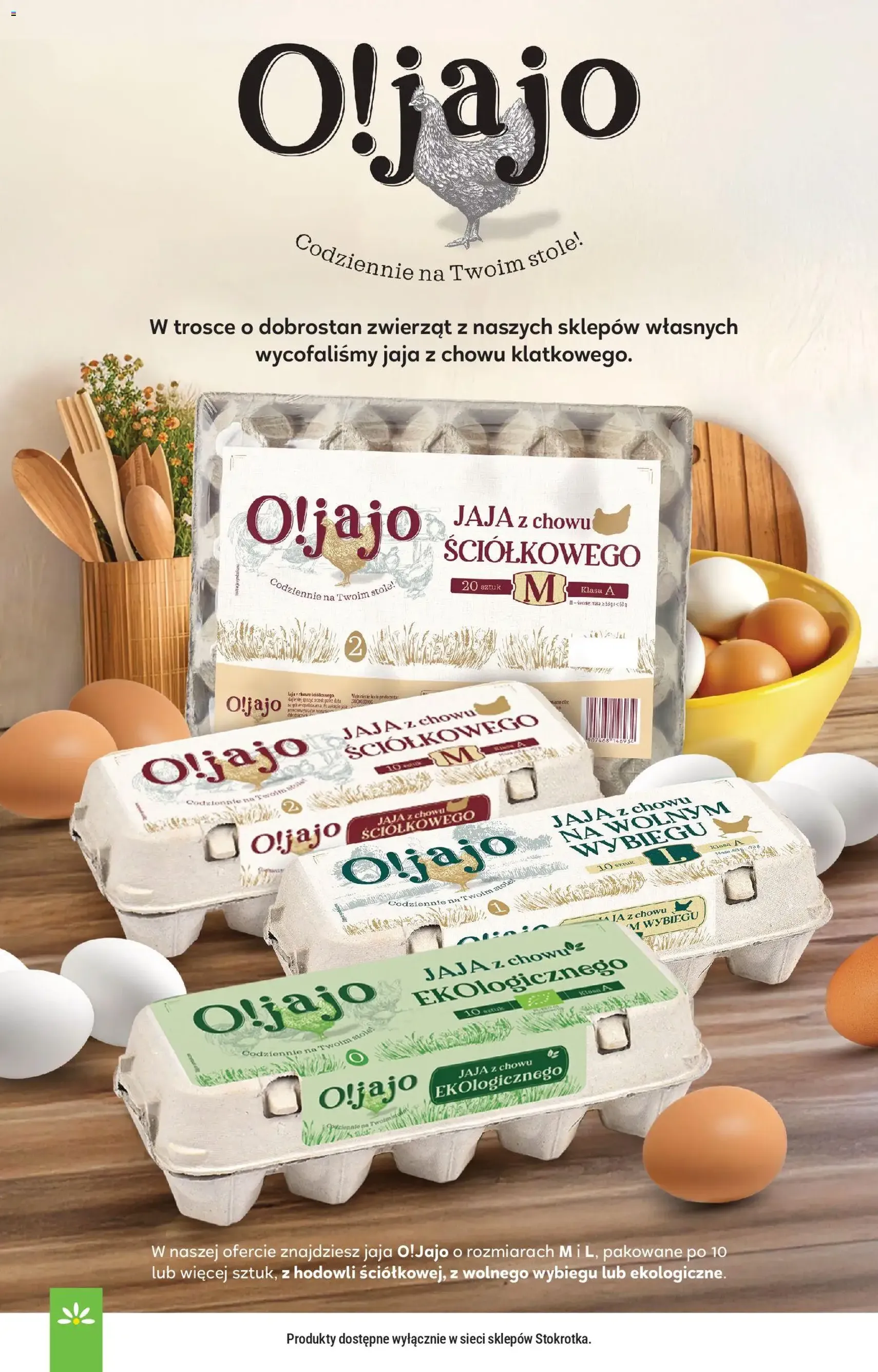 Stokrotka Gazetka - ważny gazetka od 26.02.2026 strona 32 z 51