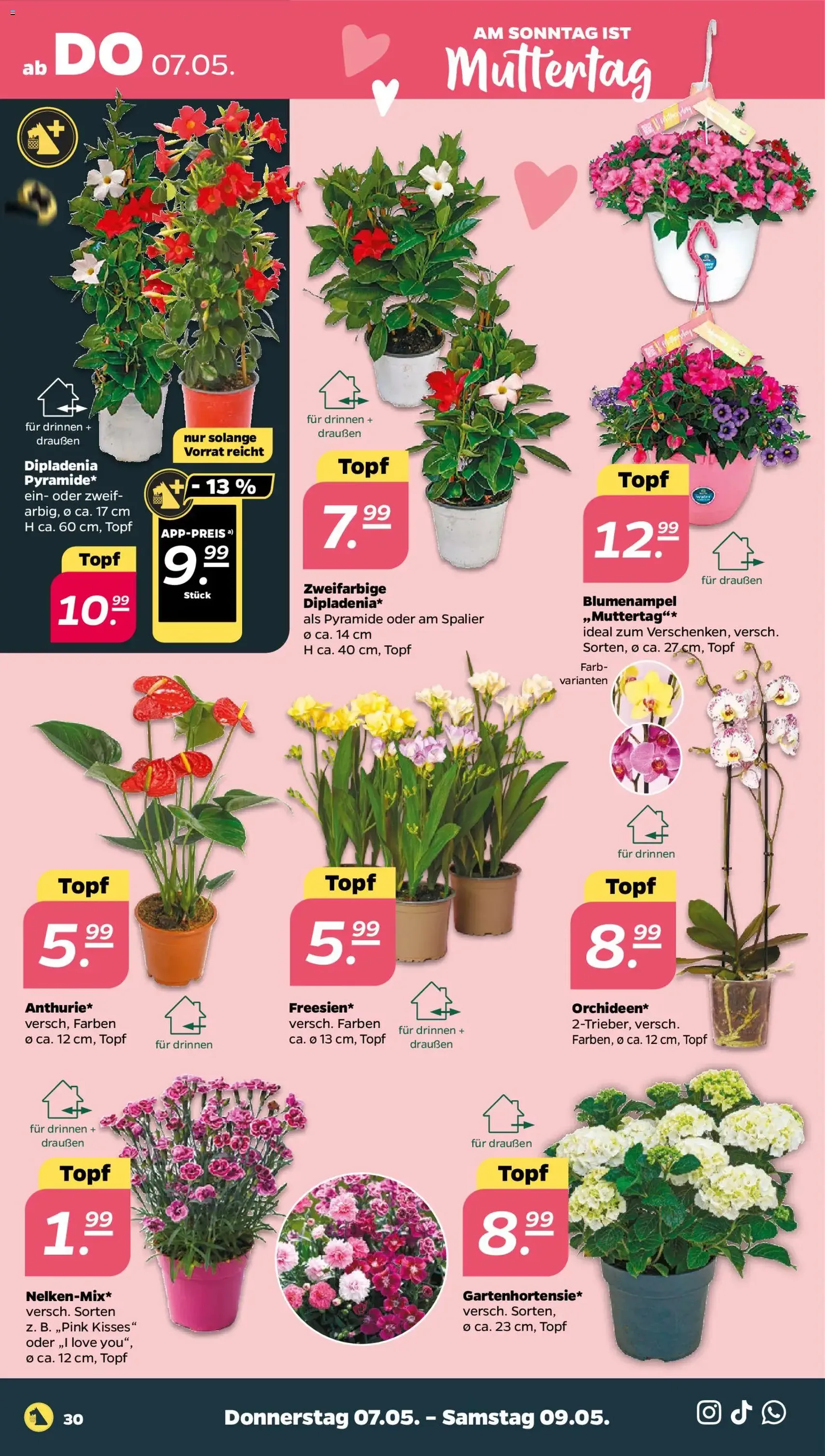 Netto Prospekt - Gültiger Prospekt ab 04.05.2026, Seite 34 von insgesamt 37