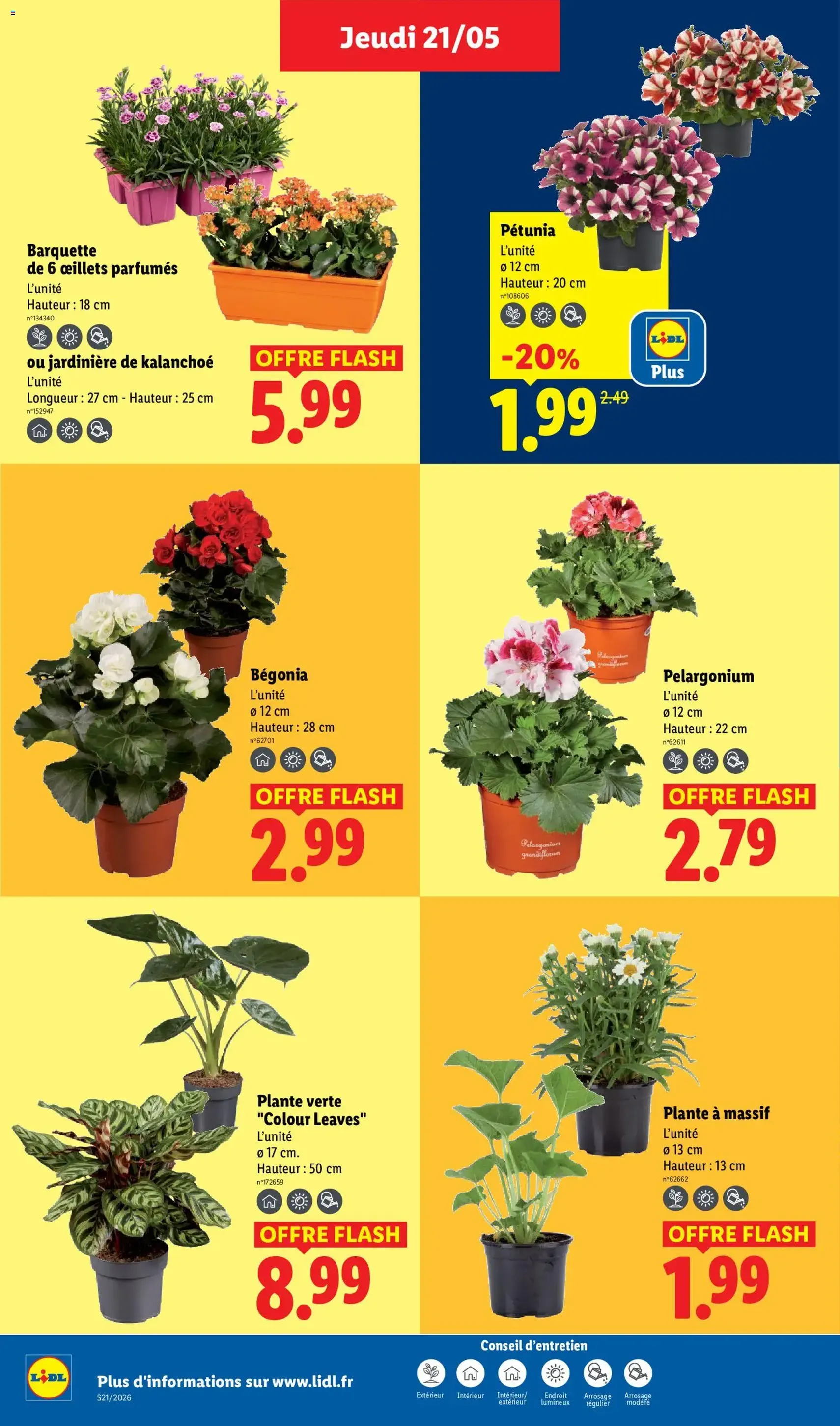 LIDL catalogue - brochure valable à partir du 21/05/2026, page 26 sur 70
