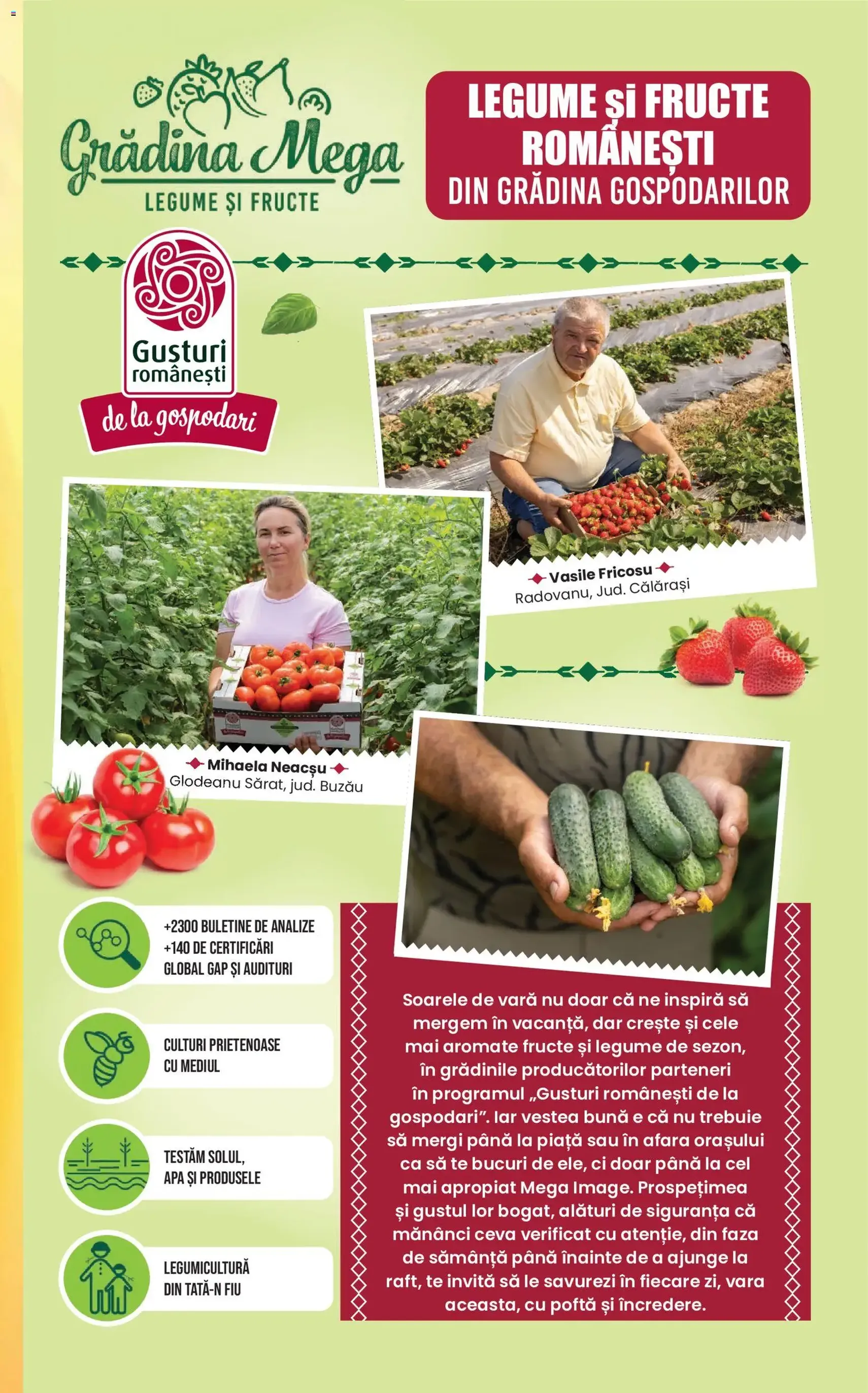 Mega Image Catalog - cataloage valabile începând cu 16.07.2026 pagina 11 din 24