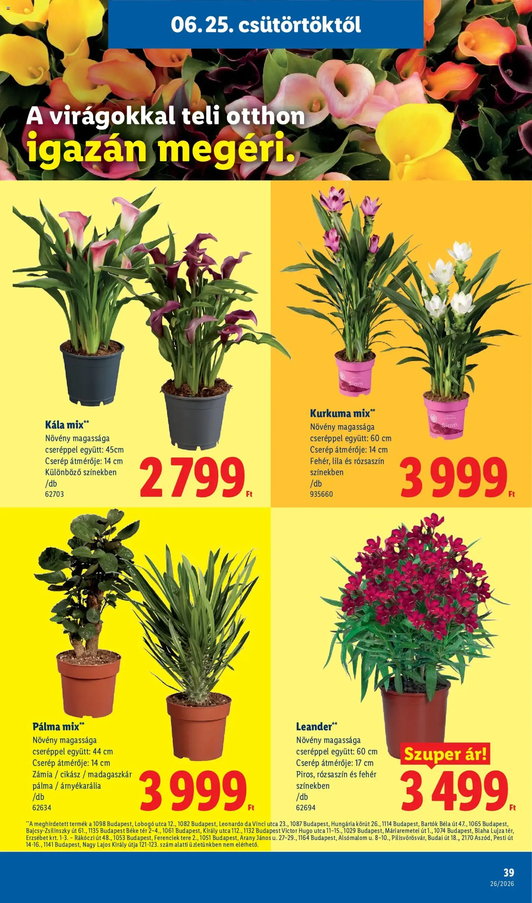 Lidl akciós újság - 2026.06.25. érvényes szórólap 39 oldal 74 oldalból