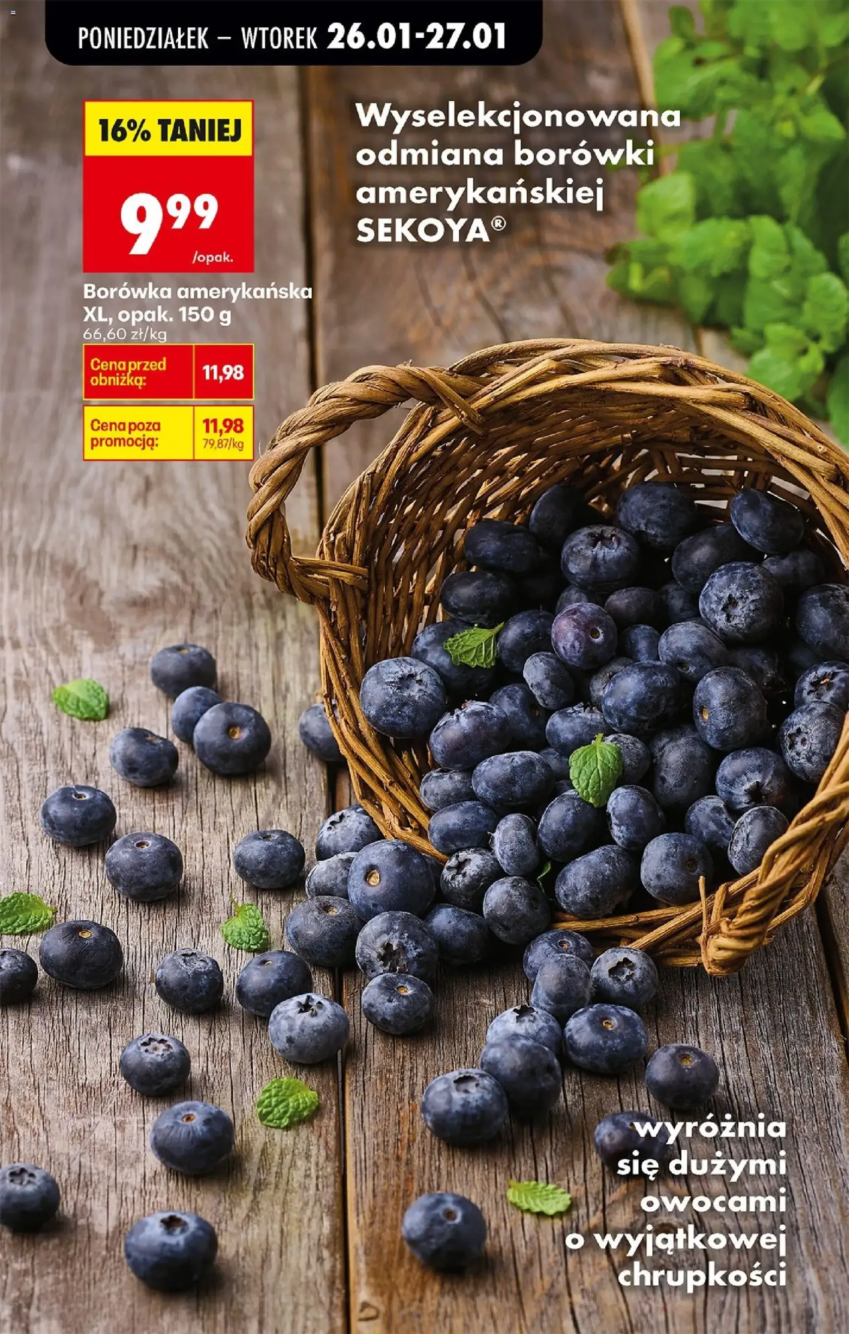 Biedronka gazetka - ważny gazetka od 26.01.2026 strona 19 z 74