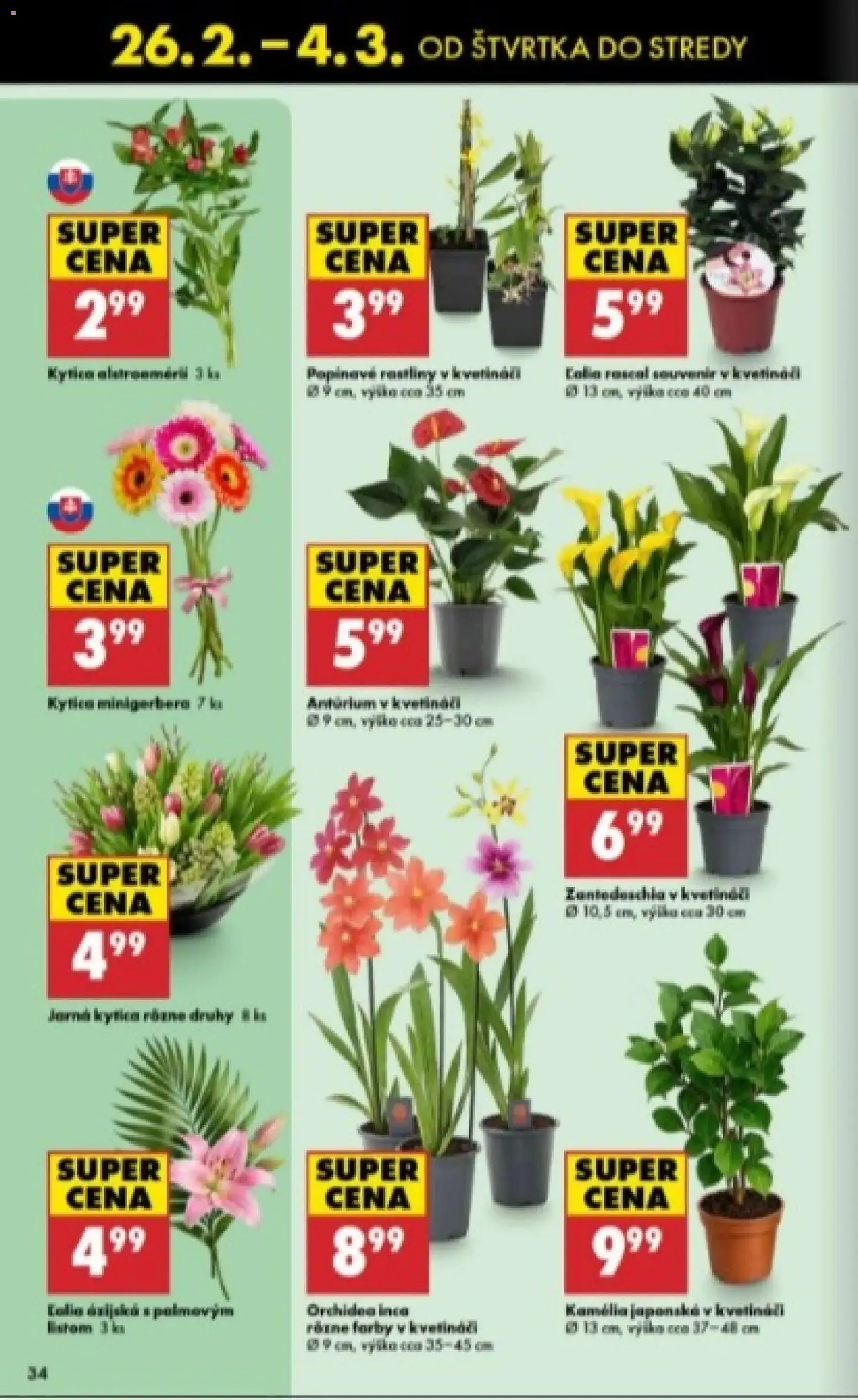 Biedronka leták - platný leták od 26.02.2026 strana 34 z 48