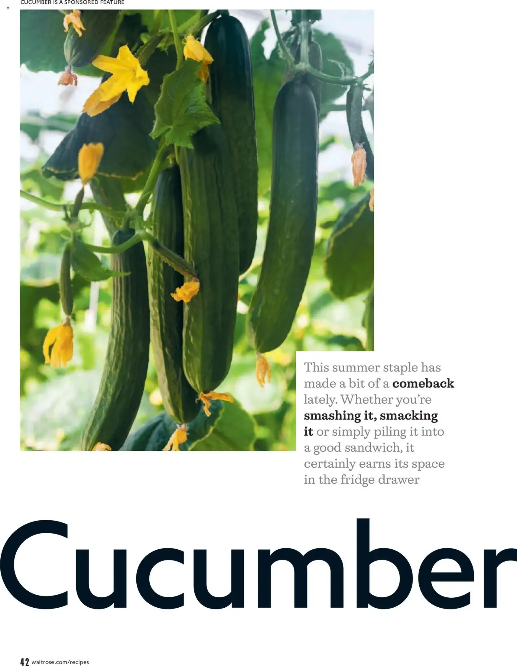 Waitrose - Offers - valid flyer from 01/07/2026, page 42 of 156