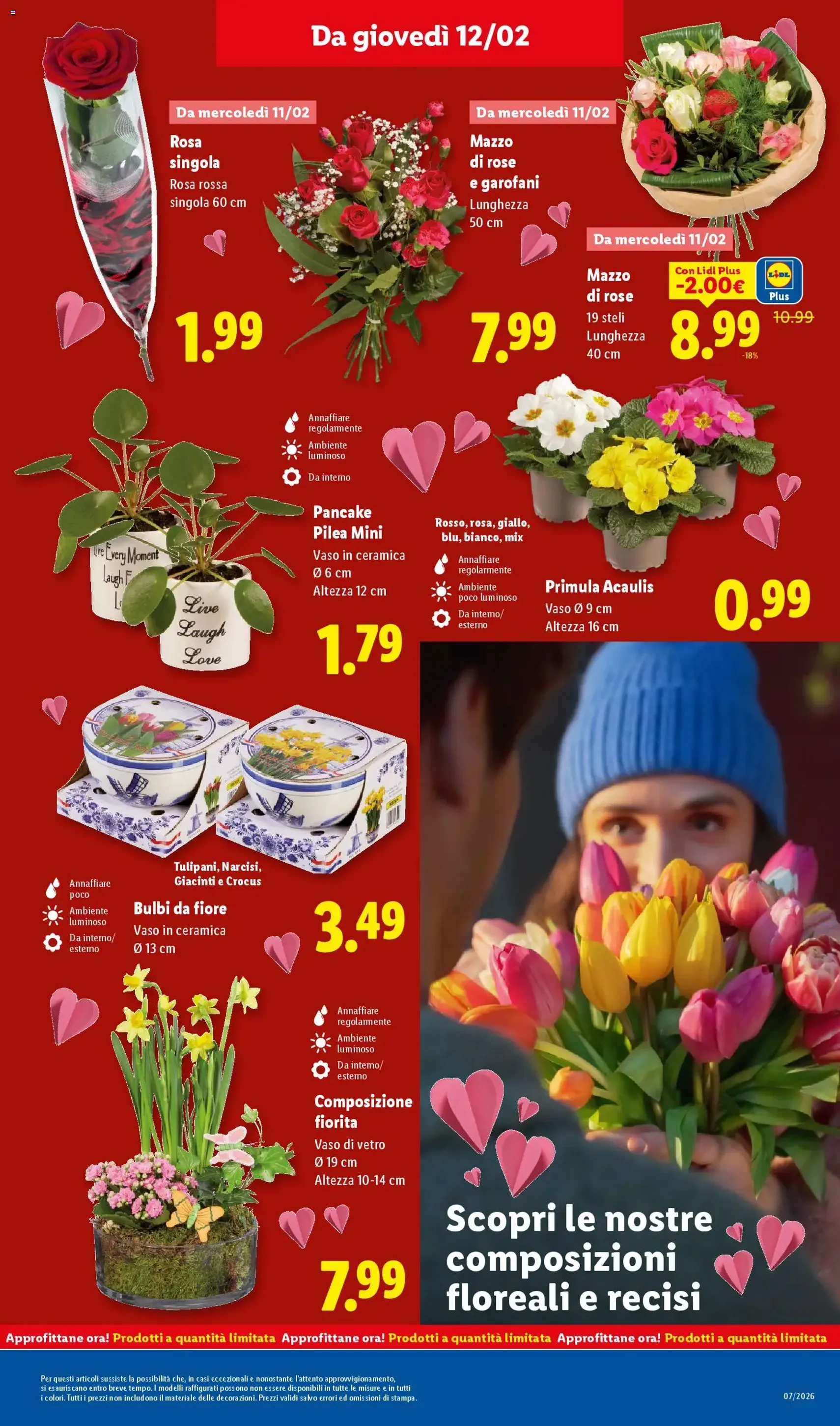 Volantino Lidl - volantino valido dal 09/02/2026 pagina 37 di 50