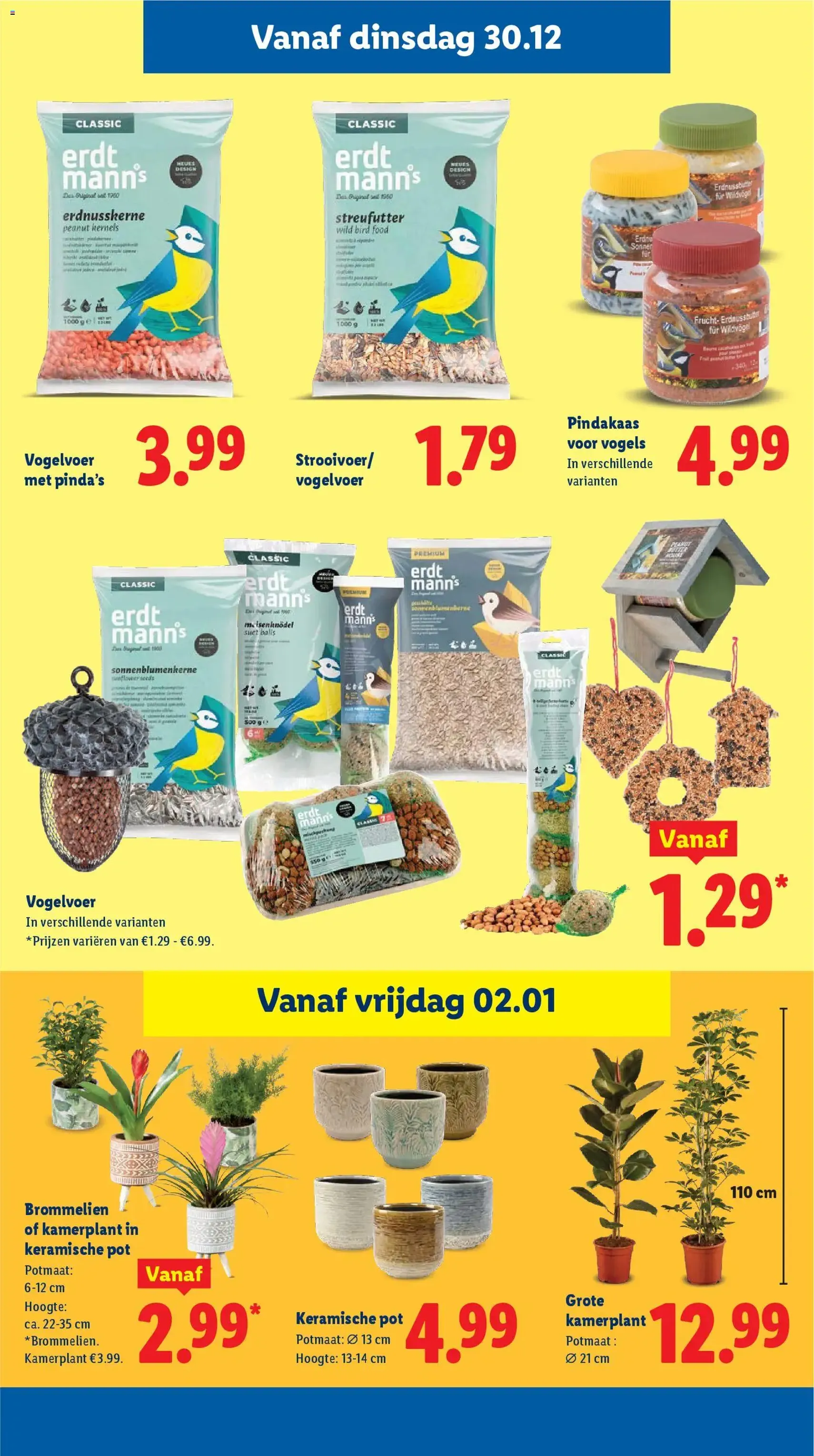 Lidl - Folder week 1 - geldige folder vanaf 29-12-2025 pagina 22 van 42