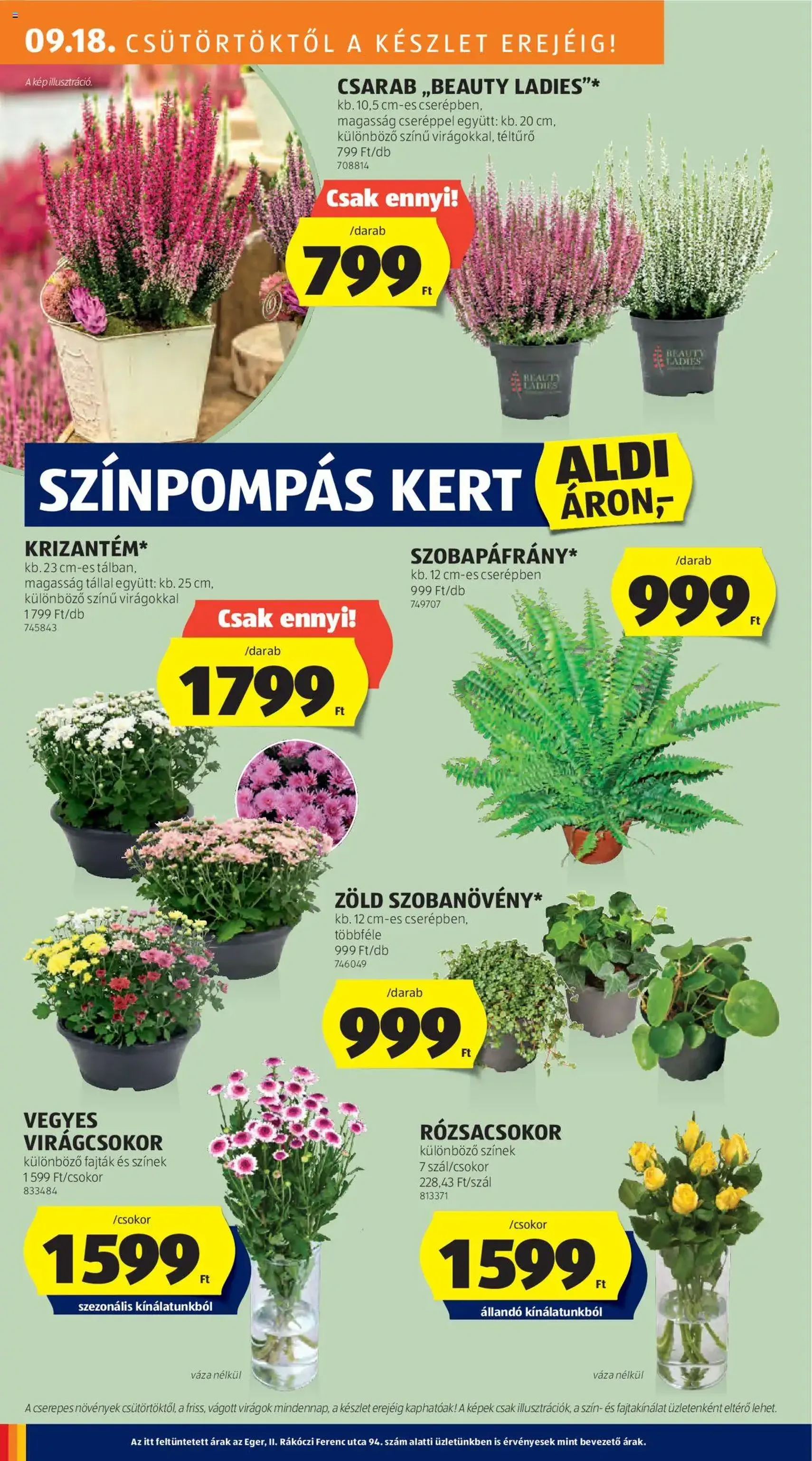 Aldi Akciós újság - 2025.09.18. érvényes szórólap 22 oldal 41 oldalból Aldi Akciós újság - 2025.09.18. érvényes szórólap 22 oldal 41 oldalból