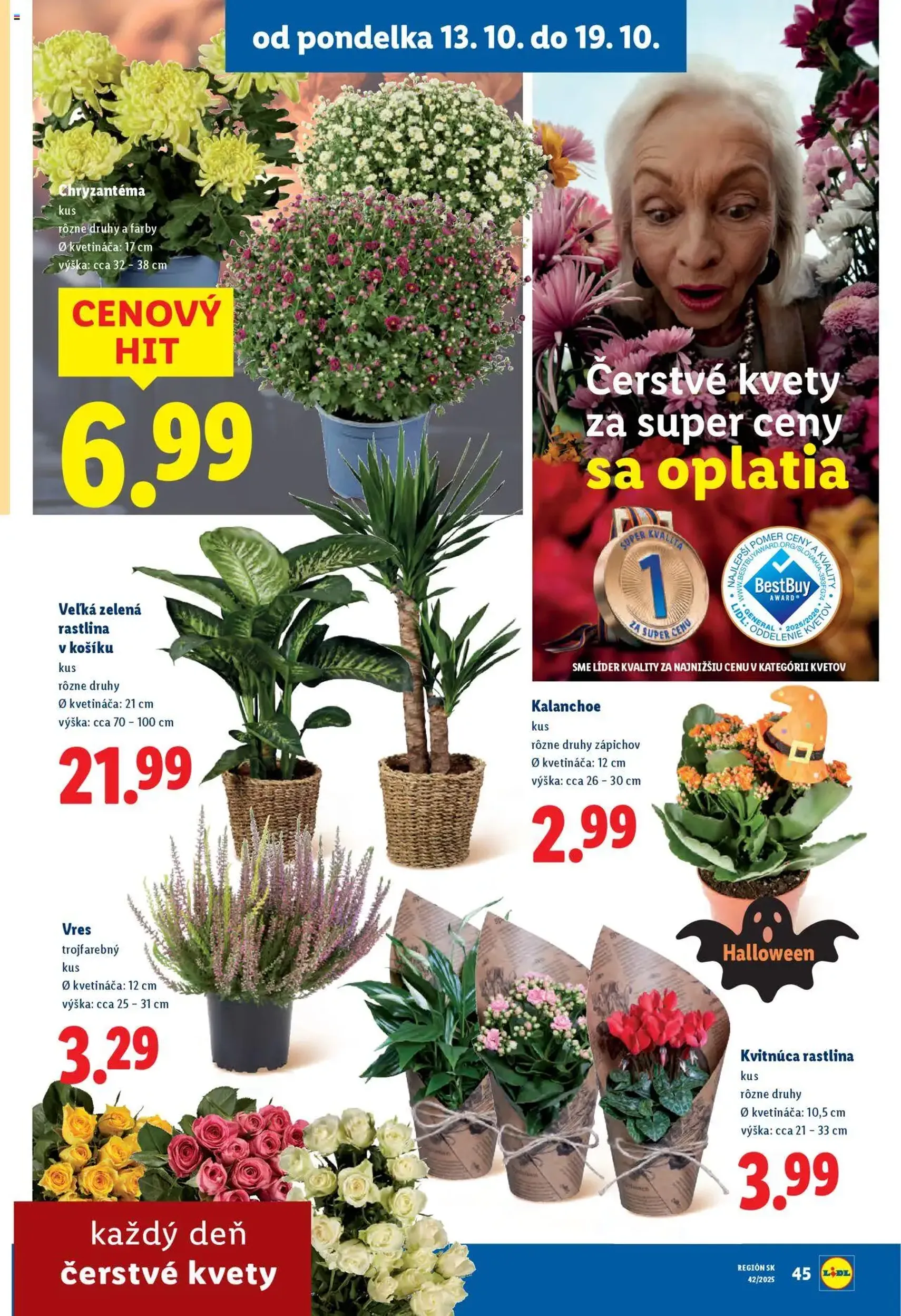 Lidl leták - platný leták od 13.10.2025 strana 71 z 110