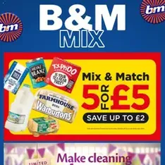 B&M - Offers - Flyer preview valid from 25/07/2025