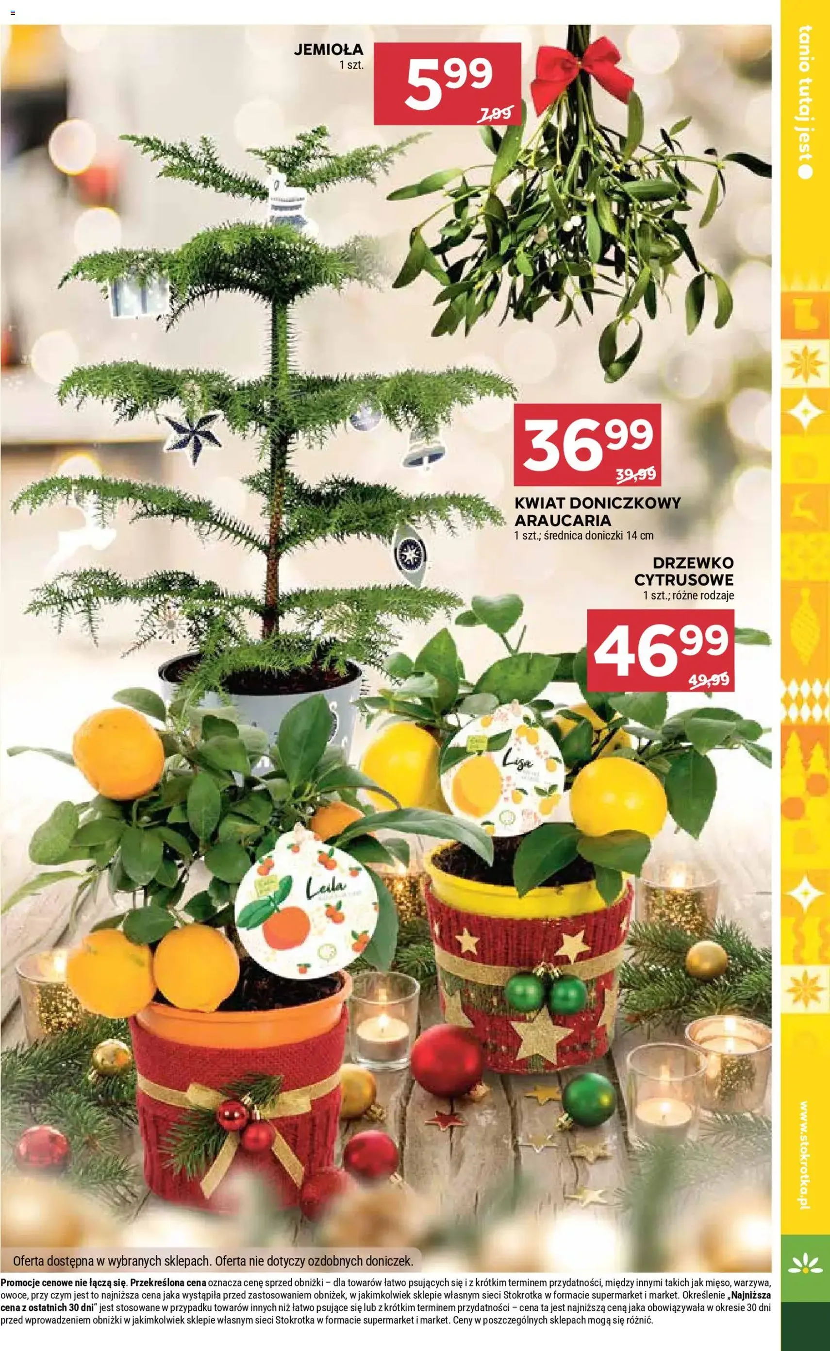 Stokrotka Gazetka - ważny gazetka od 18.12.2025 strona 42 z 51