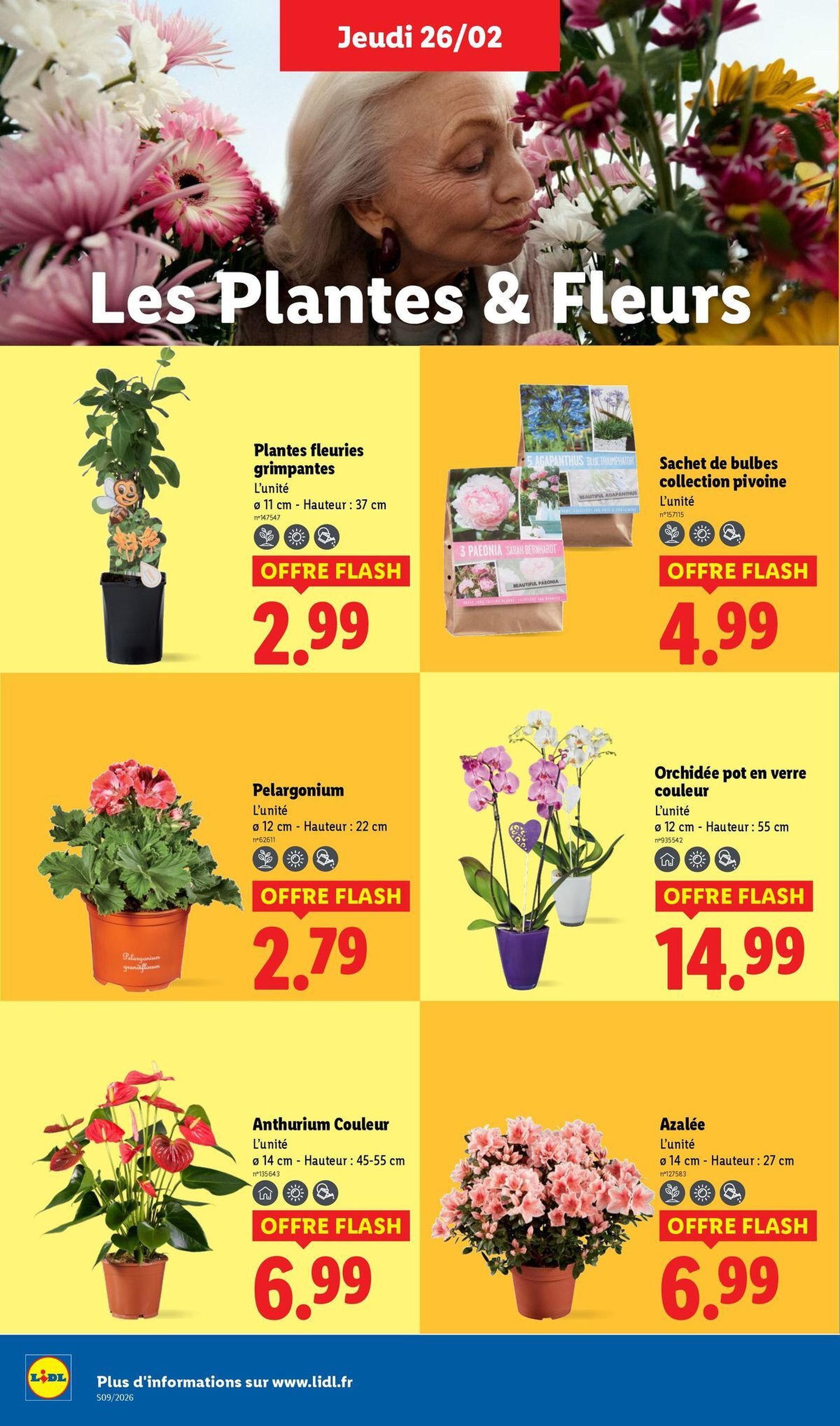 LIDL catalogue semaine 9 - brochure valable à partir du 26/02/2026, page 28 sur 81