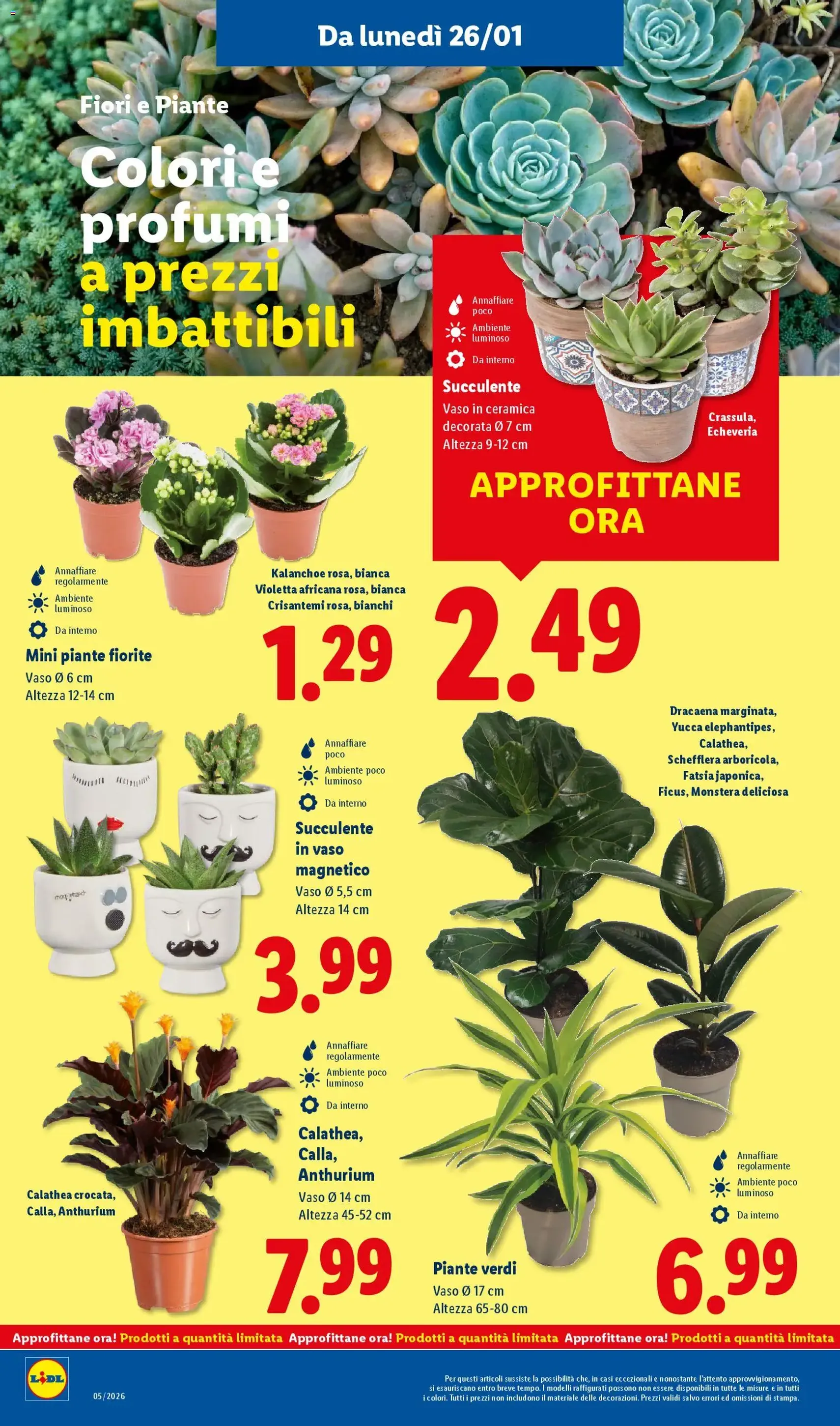 Volantino Lidl - volantino valido dal 26/01/2026 pagina 38 di 52