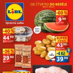 Lidl leták - náhled letáku platný od 21.08.2025