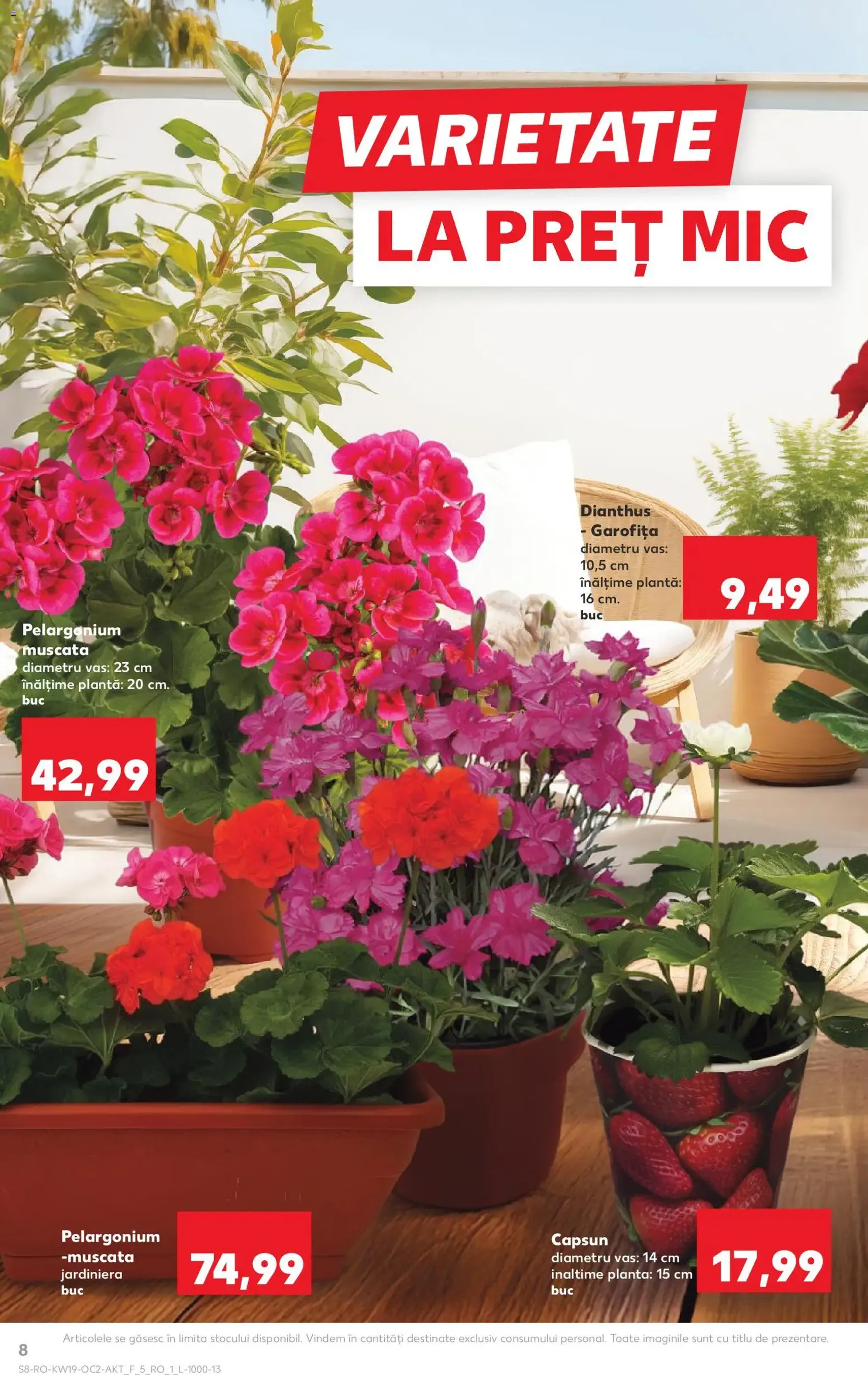 Kaufland Catalog - cataloage valabile începând cu 06.05.2026 pagina 8 din 62