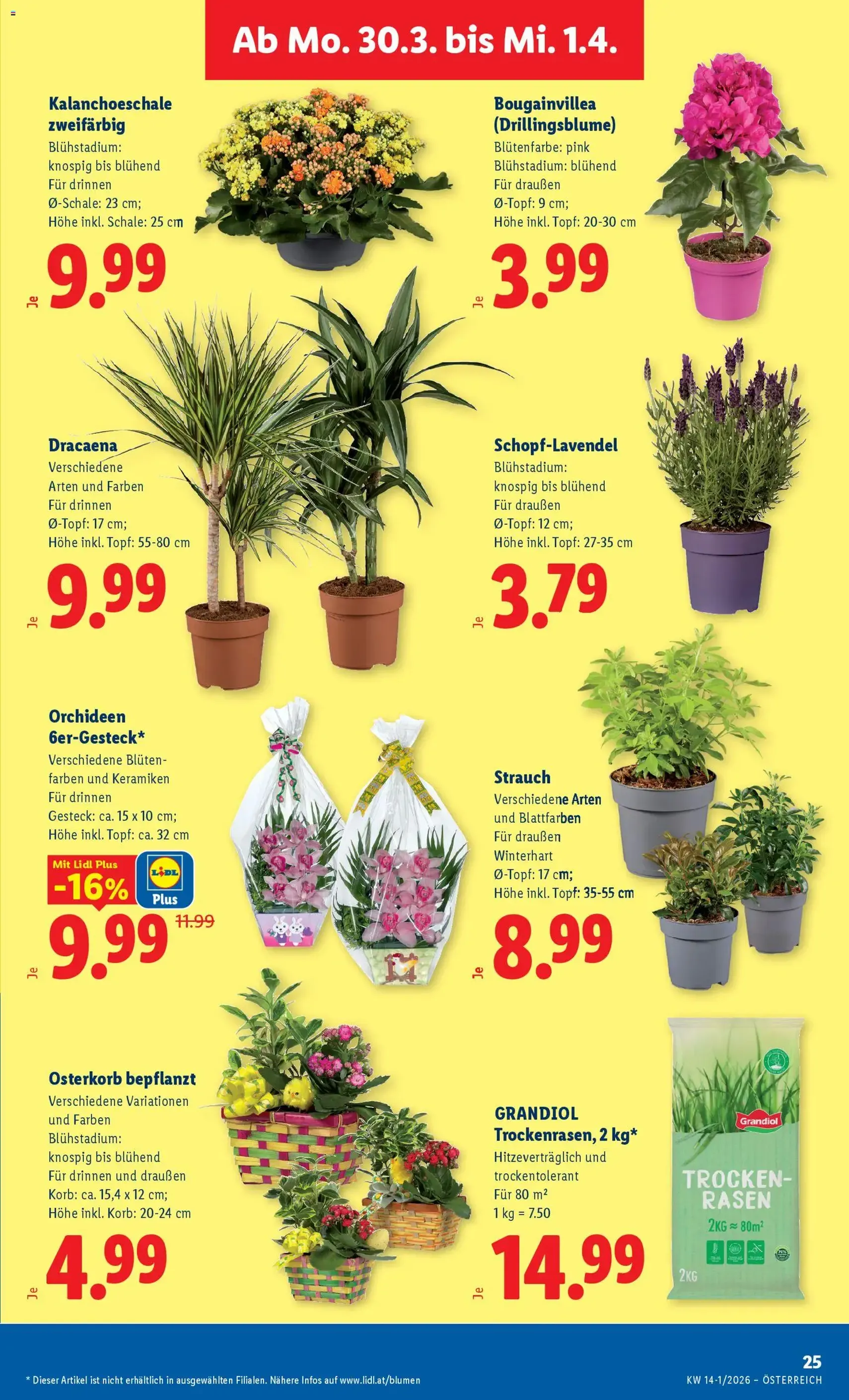 Lidl - Flugblatt - Gültiger Prospekt ab 26.03.2026, Seite 30 von insgesamt 47