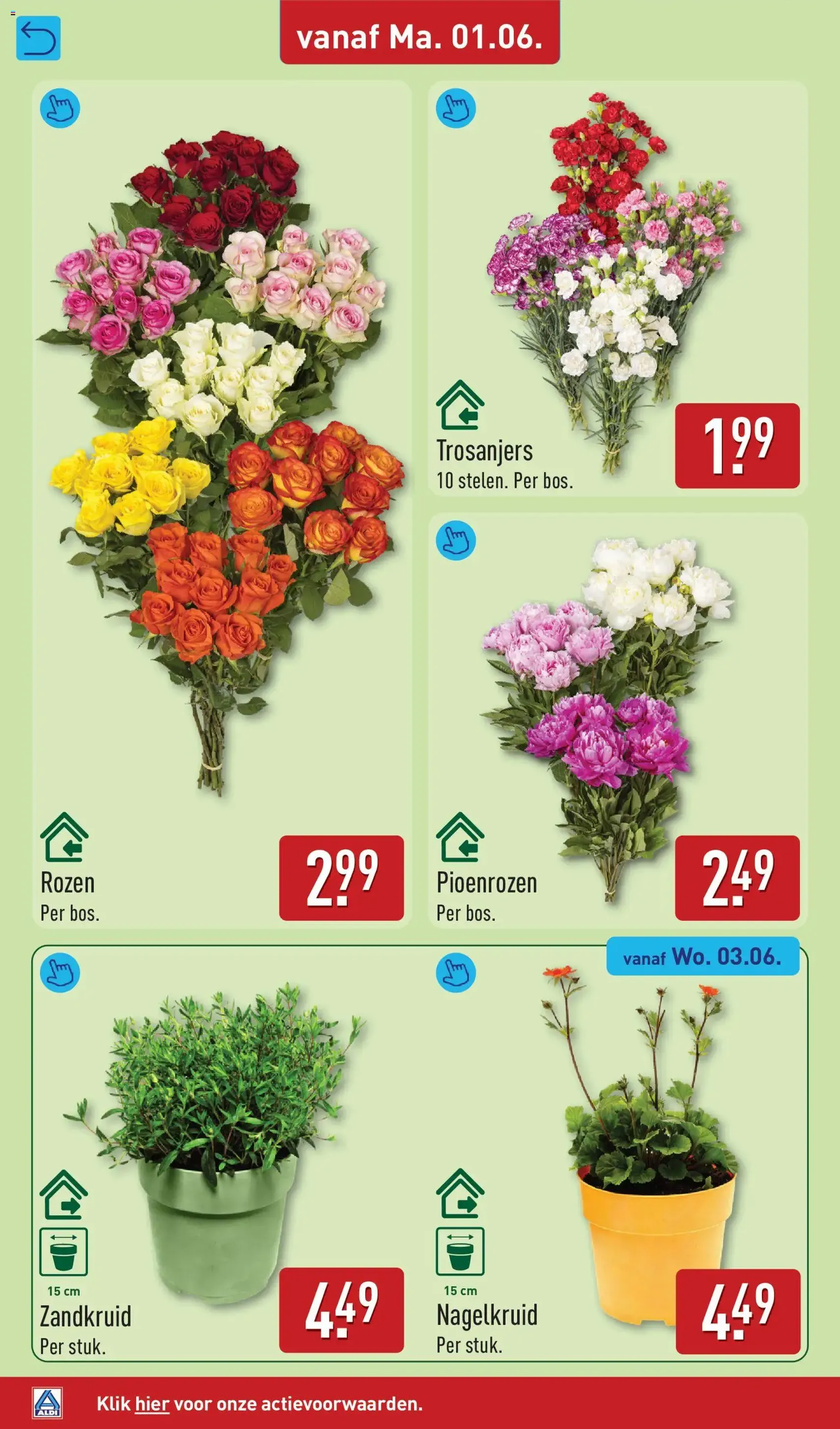 Aldi folder week 23 - geldige folder vanaf 01-06-2026 pagina 36 van 64