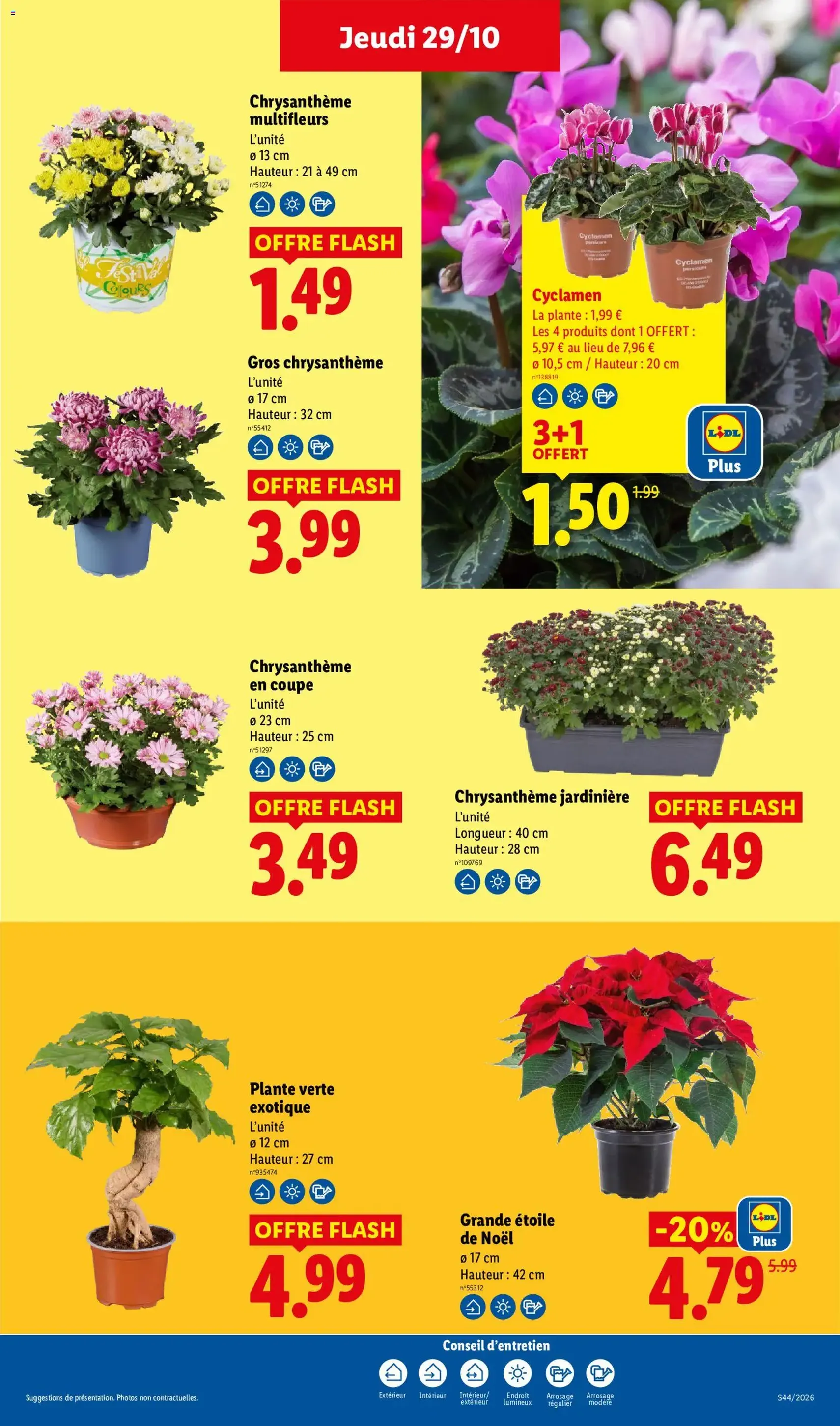 LIDL catalogue - brochure valable à partir du 29/10/2026, page 33 sur 64