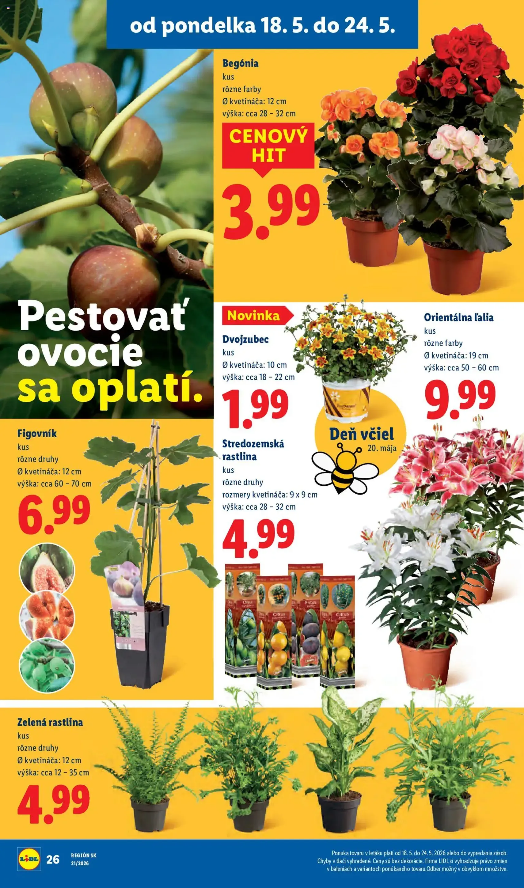 Lidl leták - platný leták od 18.05.2026 strana 32 z 97
