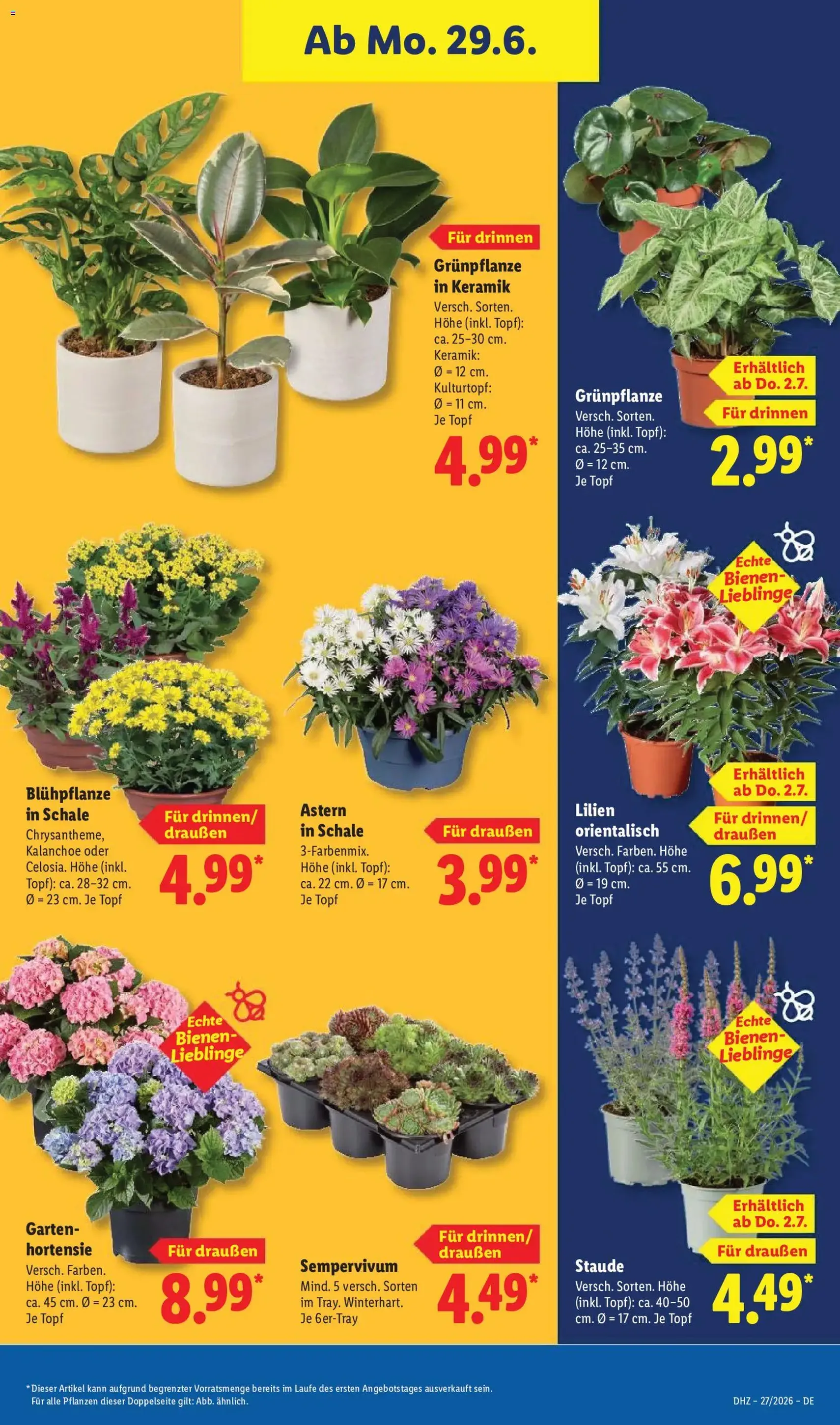 Lidl Prospekt - Gültiger Prospekt ab 29.06.2026, Seite 35 von insgesamt 67