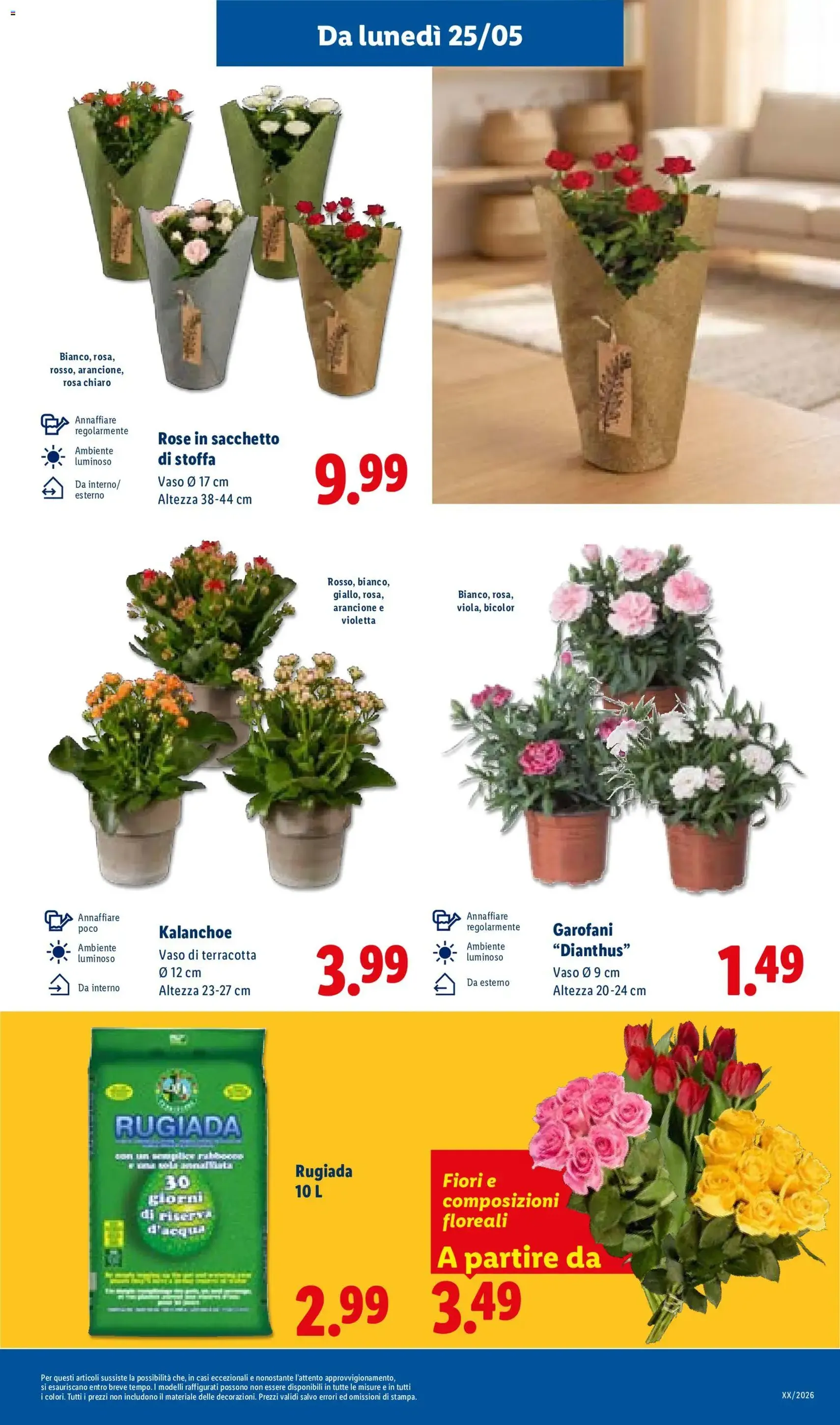 Lidl volantino - volantino valido dal 21/05/2026 pagina 37 di 54
