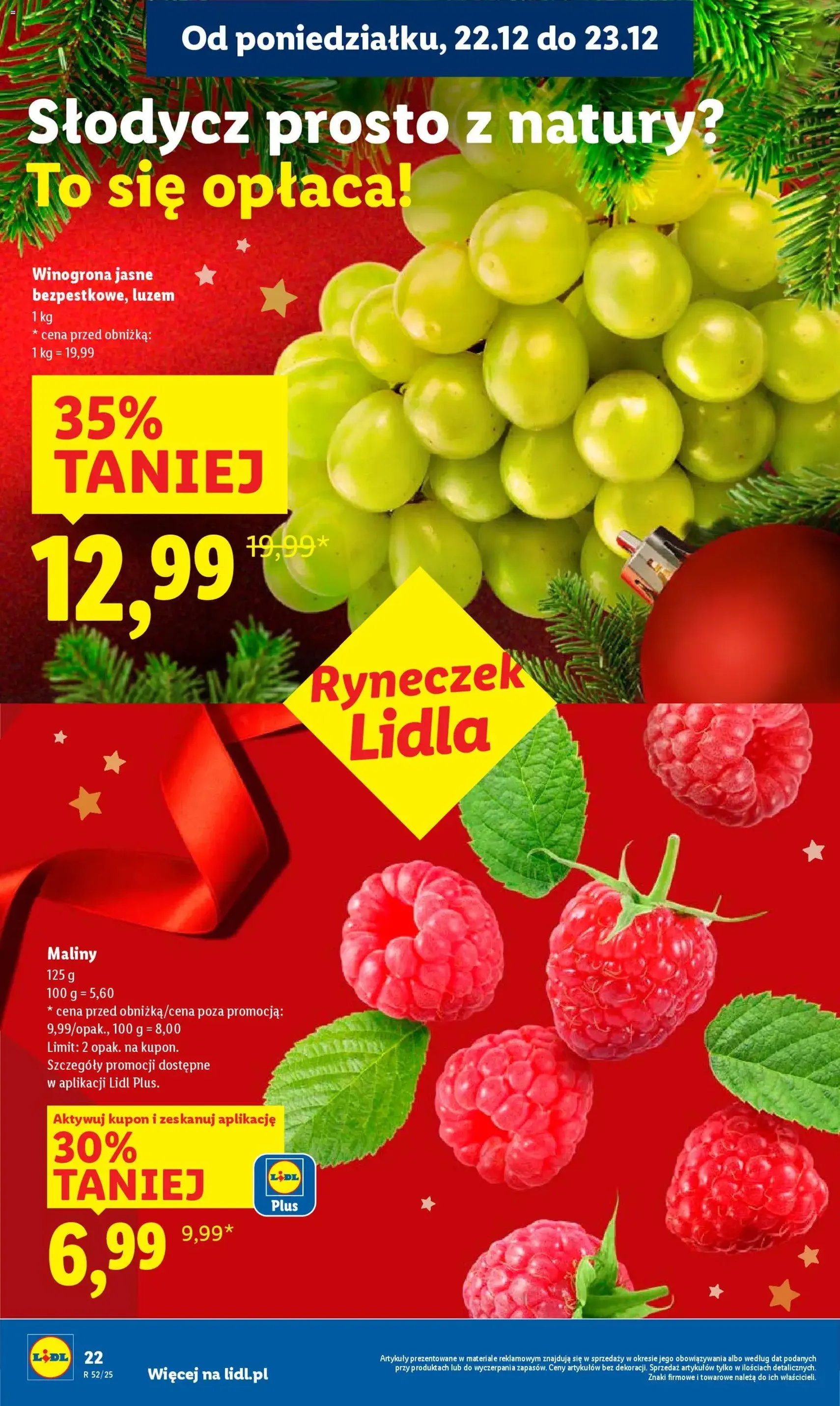 Lidl Gazetka - ważny gazetka od 22.12.2025 strona 24 z 69