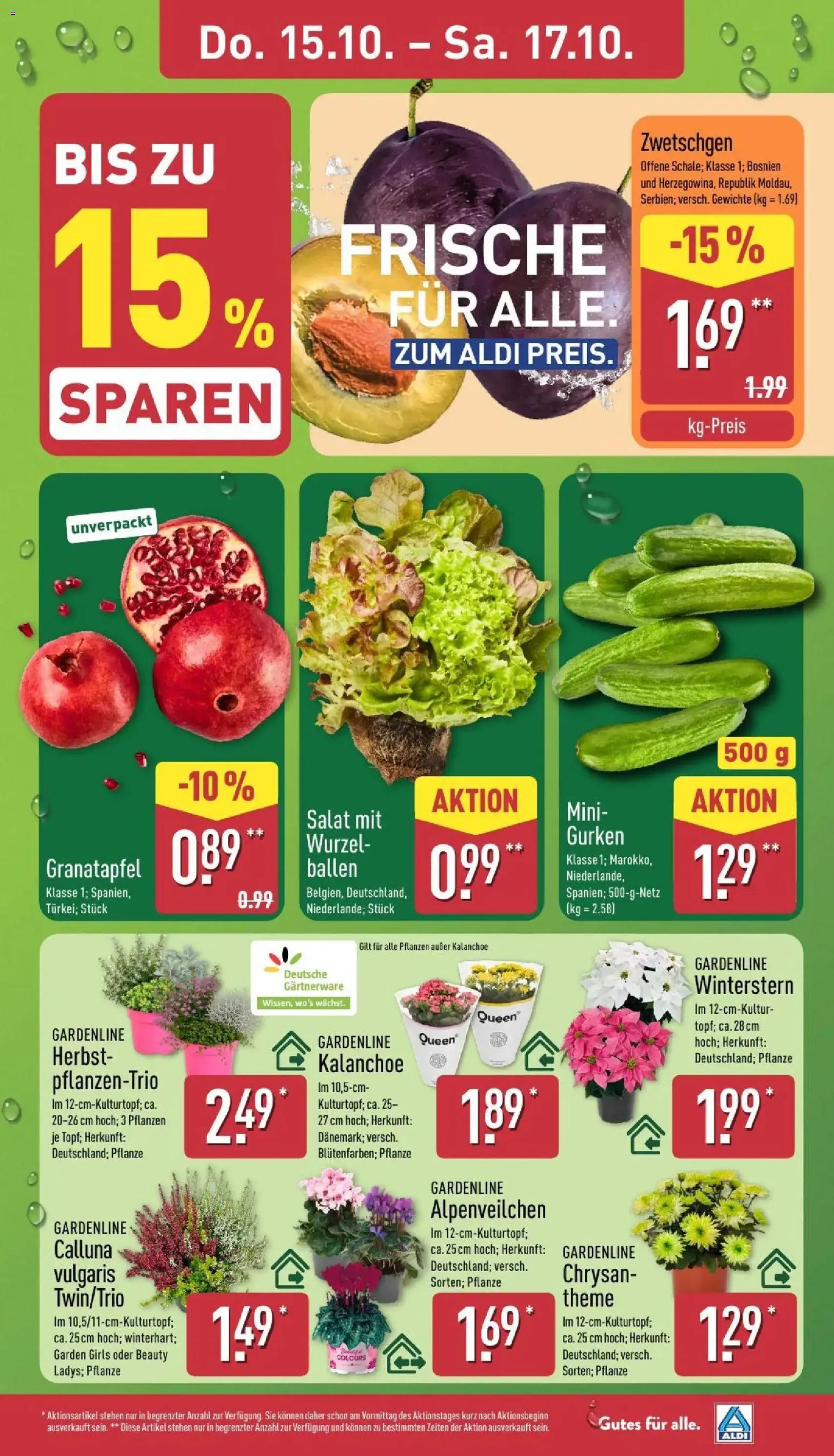 Aldi Prospekt - Gültiger Prospekt ab 12.10.2026, Seite 31 von insgesamt 49