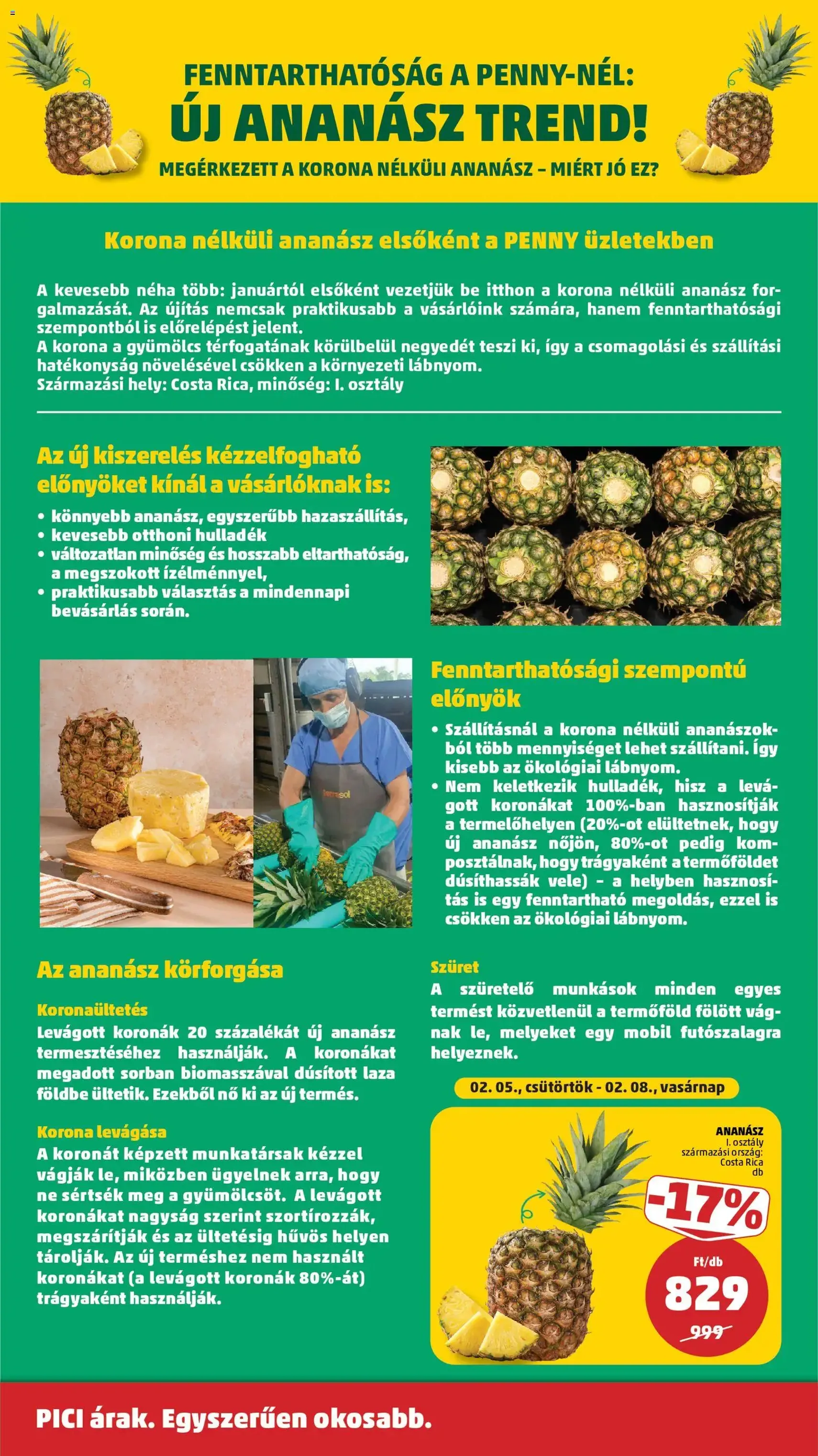 PENNY Akciós újság - 2026.02.05. érvényes szórólap 31 oldal 39 oldalból