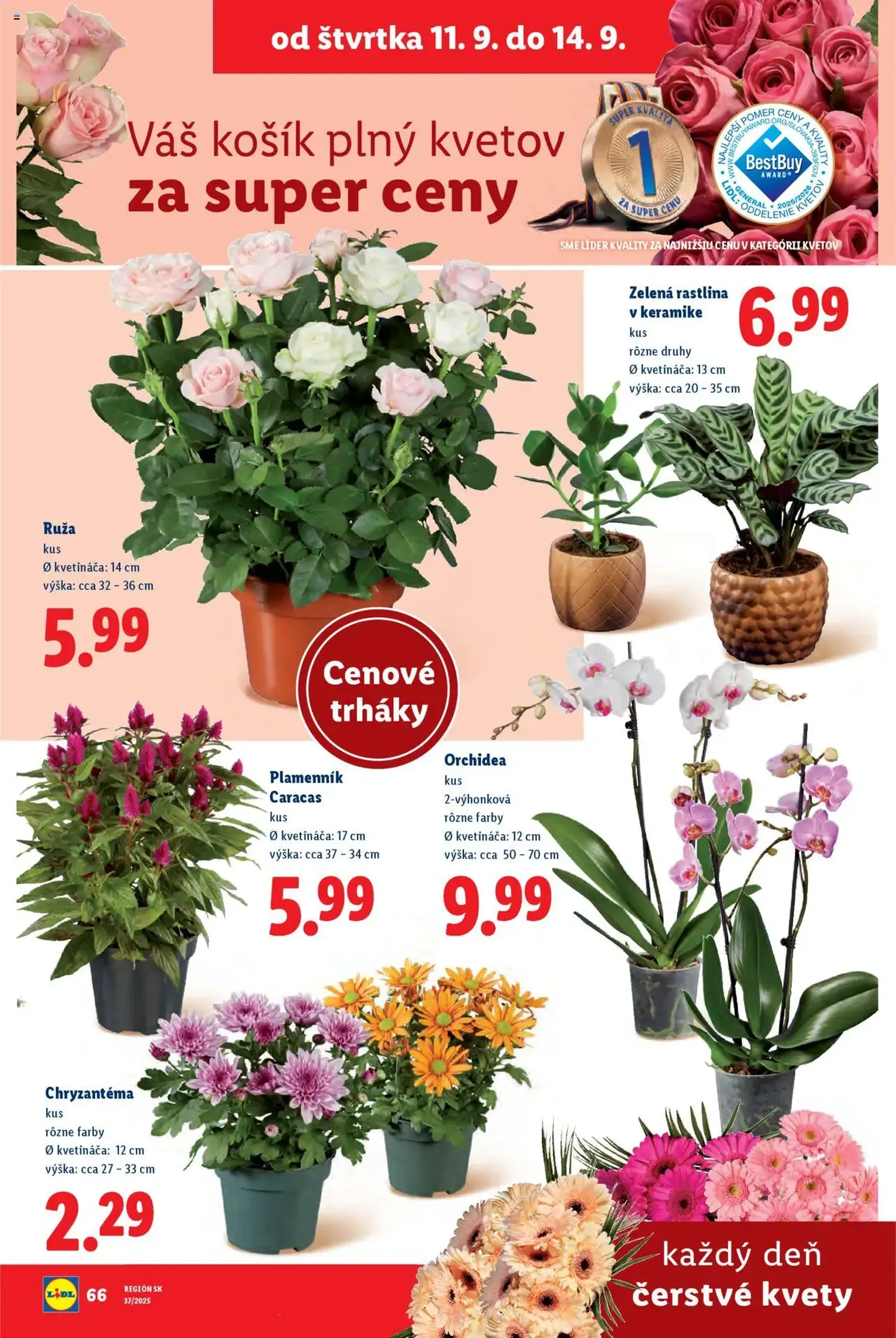 Lidl leták - platný leták od 08.09.2025 strana 80 z 91 Lidl leták - platný leták od 08.09.2025 strana 80 z 91