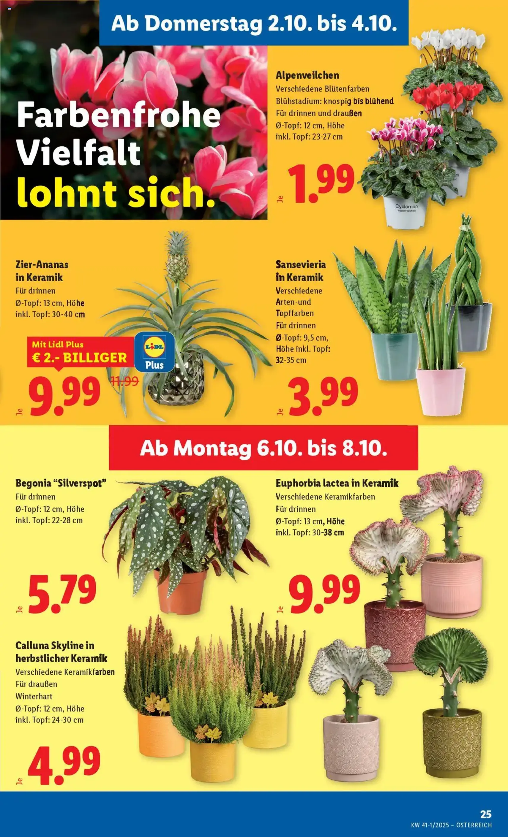 Lidl - Flugblatt - Gültiger Prospekt ab 02.10.2025, Seite 27 von insgesamt 45