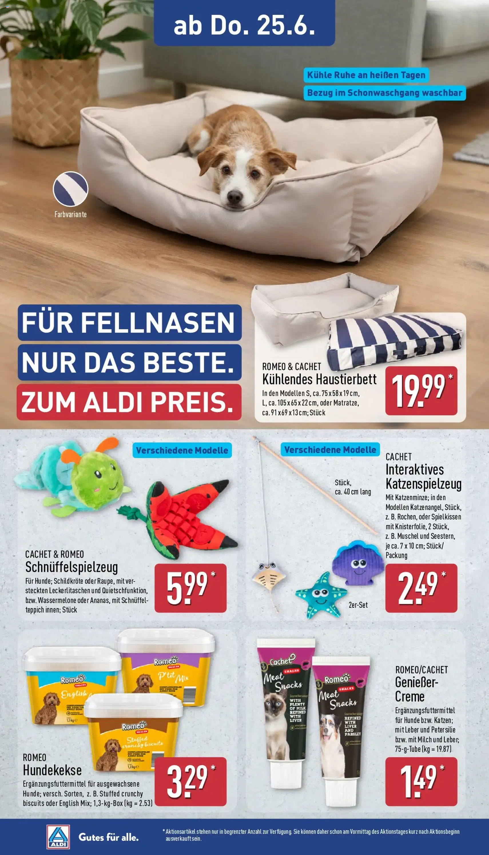 Aldi Prospekt - Gültiger Prospekt ab 22.06.2026, Seite 22 von insgesamt 41