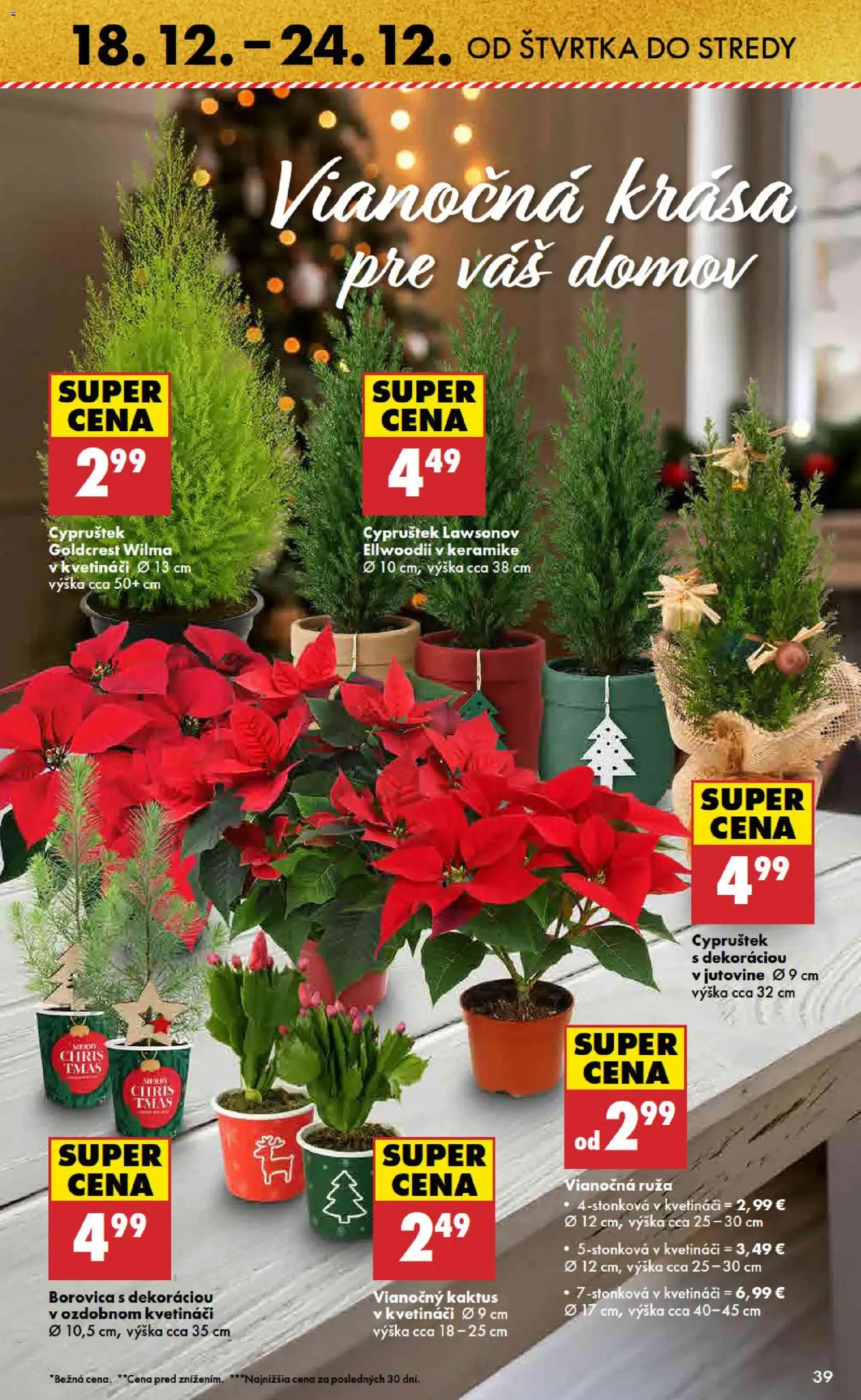 Biedronka leták - platný leták od 18.12.2025 strana 39 z 48