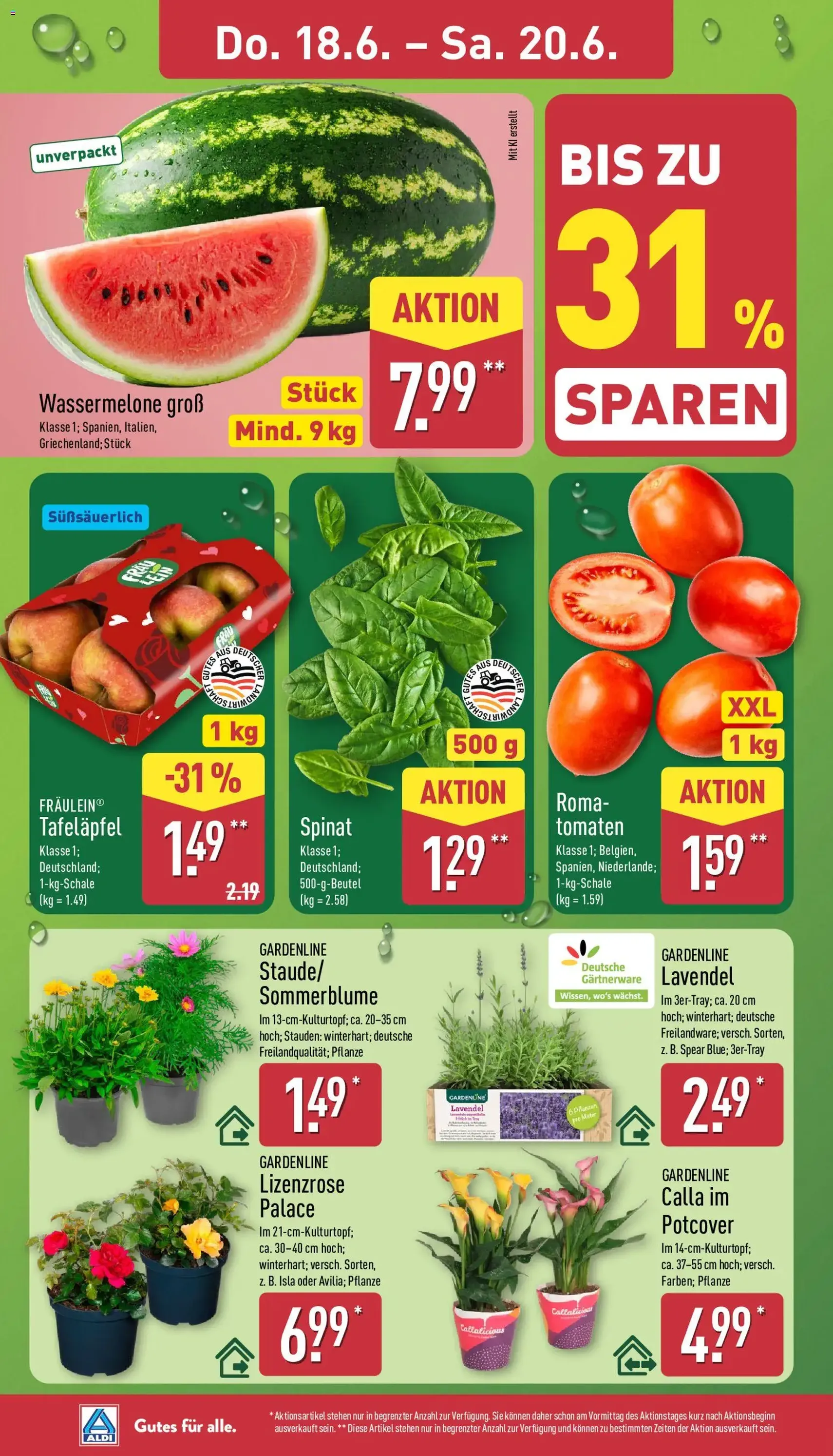 Aldi Prospekt - Gültiger Prospekt ab 15.06.2026, Seite 30 von insgesamt 41
