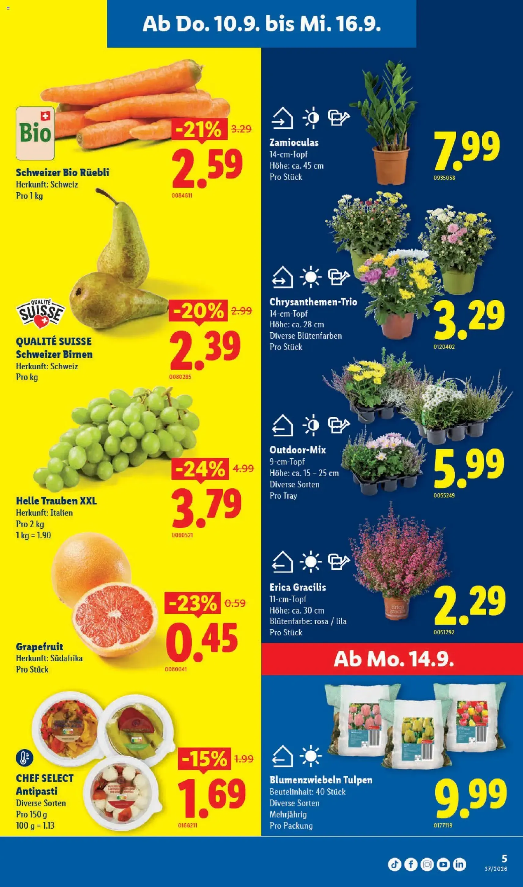 Lidl aktionen - Gültiger Prospekt ab 10.09.2026, Seite 5 von insgesamt 33