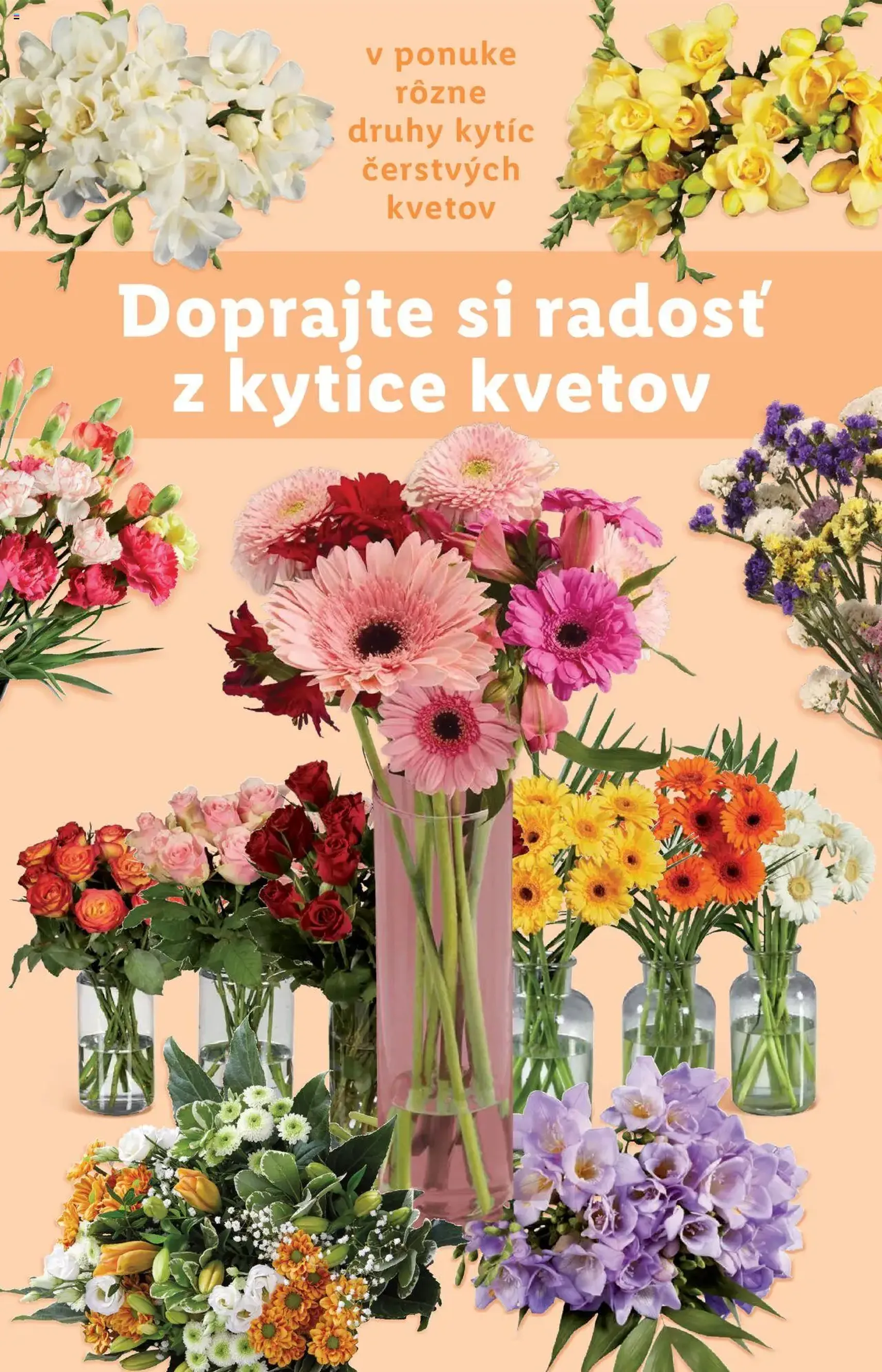 Lidl leták - platný leták od 21.07.2025 strana 42 z 99 Lidl leták - platný leták od 21.07.2025 strana 42 z 99